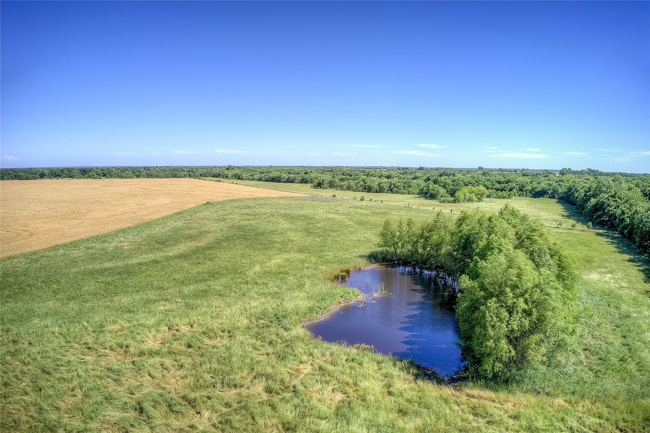 Improved Land For Sale in Hunt County , 6399 Fm 2068, Commerce, Texas 75428, 0, 0, Garage spaces, 0 Sqft, built in 0, Price $708,500, mls#21320683, Real Estate Agent in Commerce, Homes For Sale in Hunt county, Homes For Sale in Commerce, Realtor in Commerce Texas, Real Estate Brokerage Independent Realty Texas, Luminita Cordes Realtor