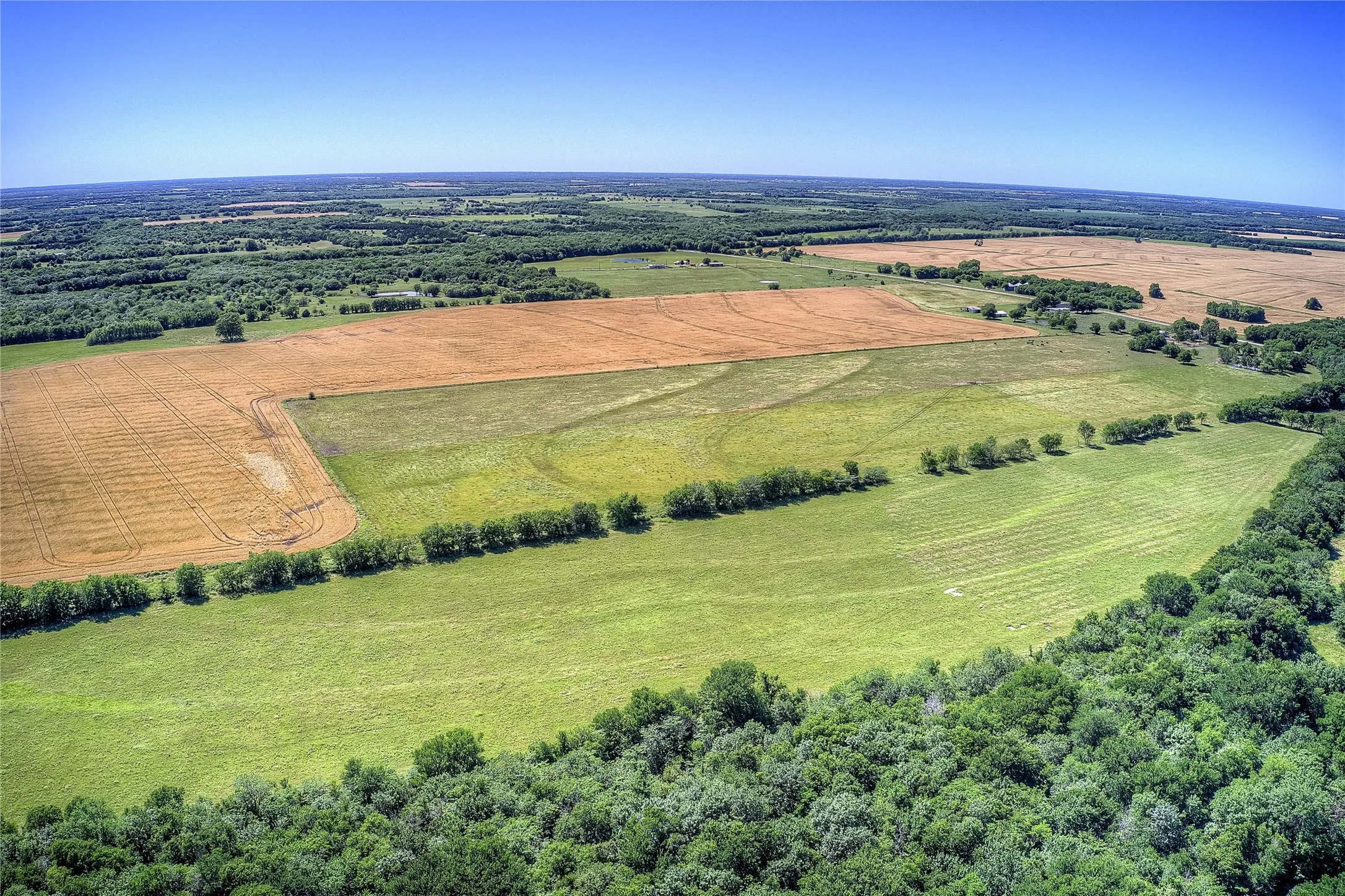 Improved Land For Sale in Hunt County , 6399 Fm 2068, Commerce, Texas 75428, 0, 0, Garage spaces, 0 Sqft, built in 0, Price $708,500, mls#21320683, Real Estate Agent in Commerce, Homes For Sale in Hunt county, Homes For Sale in Commerce, Realtor in Commerce Texas, Real Estate Brokerage Independent Realty Texas, Luminita Cordes Realtor