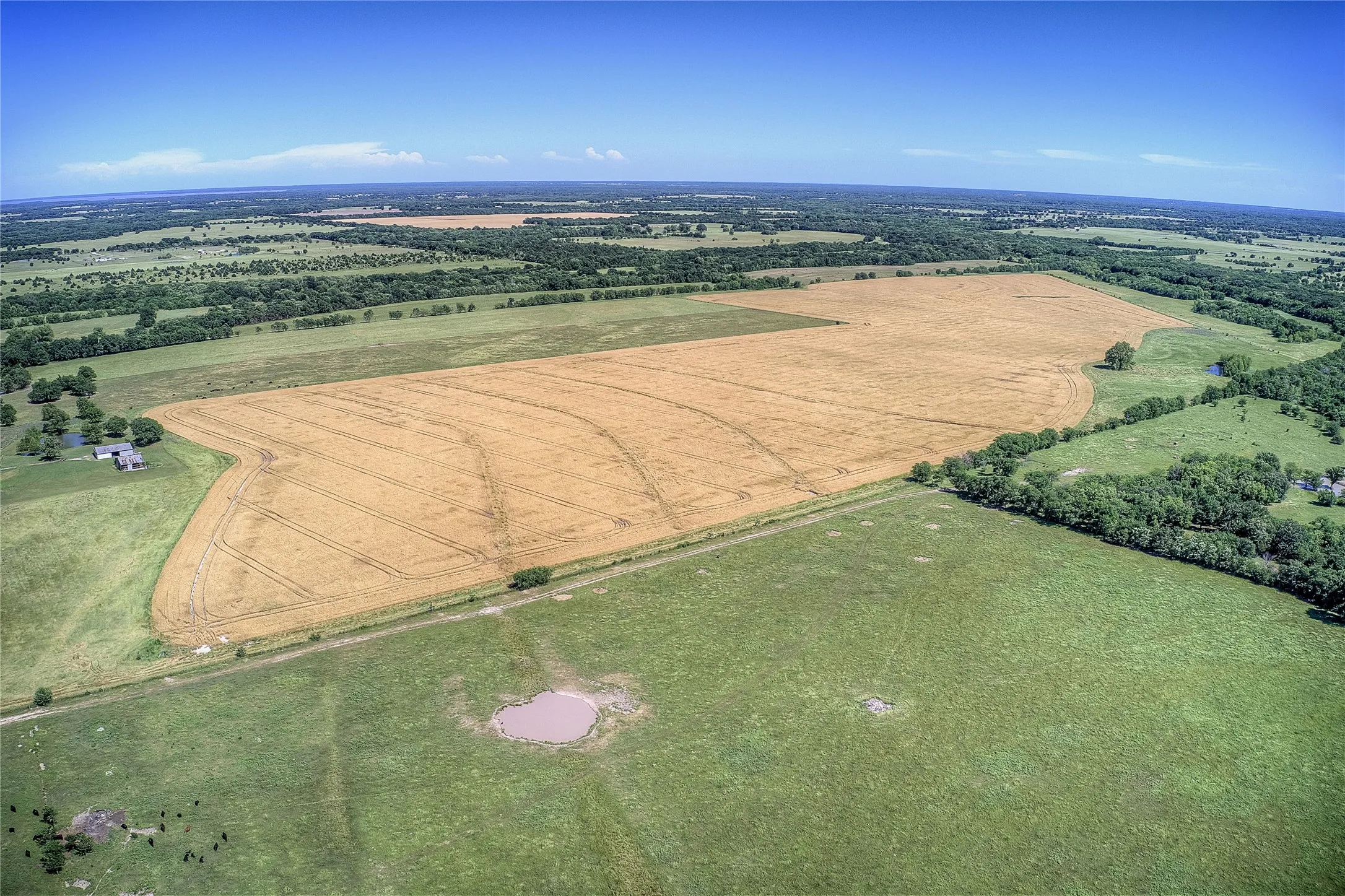 Improved Land For Sale in Hunt County , 6399 Fm 2068, Commerce, Texas 75428, 0, 0, Garage spaces, 0 Sqft, built in 0, Price $708,500, mls#21320683, Real Estate Agent in Commerce, Homes For Sale in Hunt county, Homes For Sale in Commerce, Realtor in Commerce Texas, Real Estate Brokerage Independent Realty Texas, Luminita Cordes Realtor