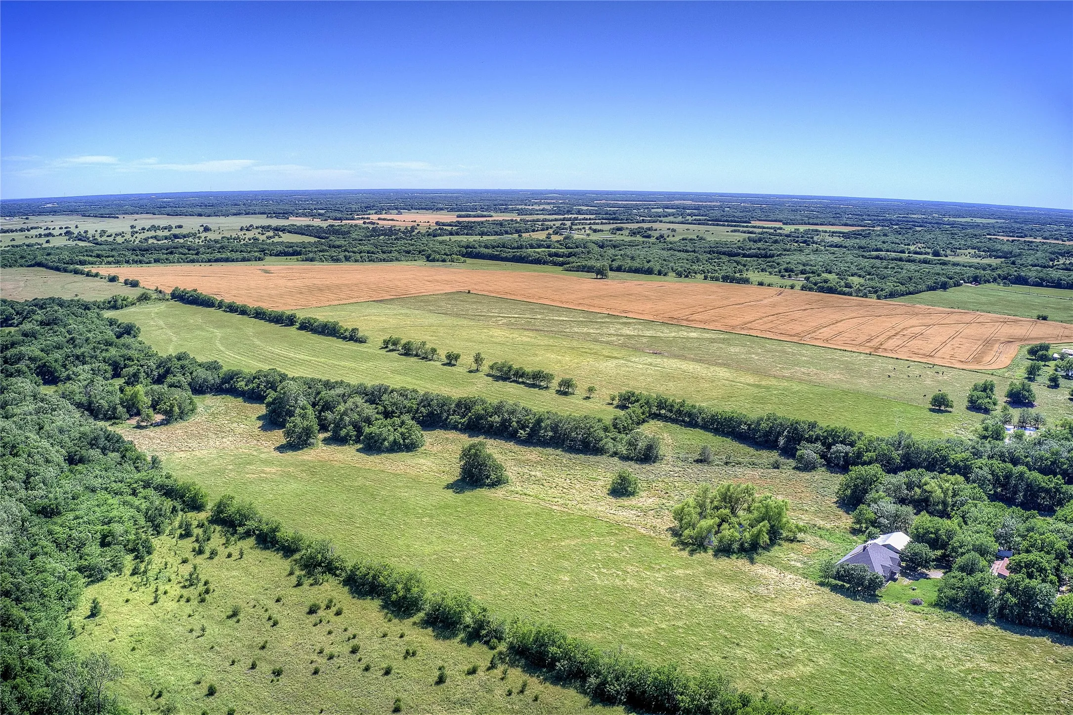 Improved Land For Sale in Hunt County , 6399 Fm 2068, Commerce, Texas 75428, 0, 0, Garage spaces, 0 Sqft, built in 0, Price $708,500, mls#21320683, Real Estate Agent in Commerce, Homes For Sale in Hunt county, Homes For Sale in Commerce, Realtor in Commerce Texas, Real Estate Brokerage Independent Realty Texas, Luminita Cordes Realtor