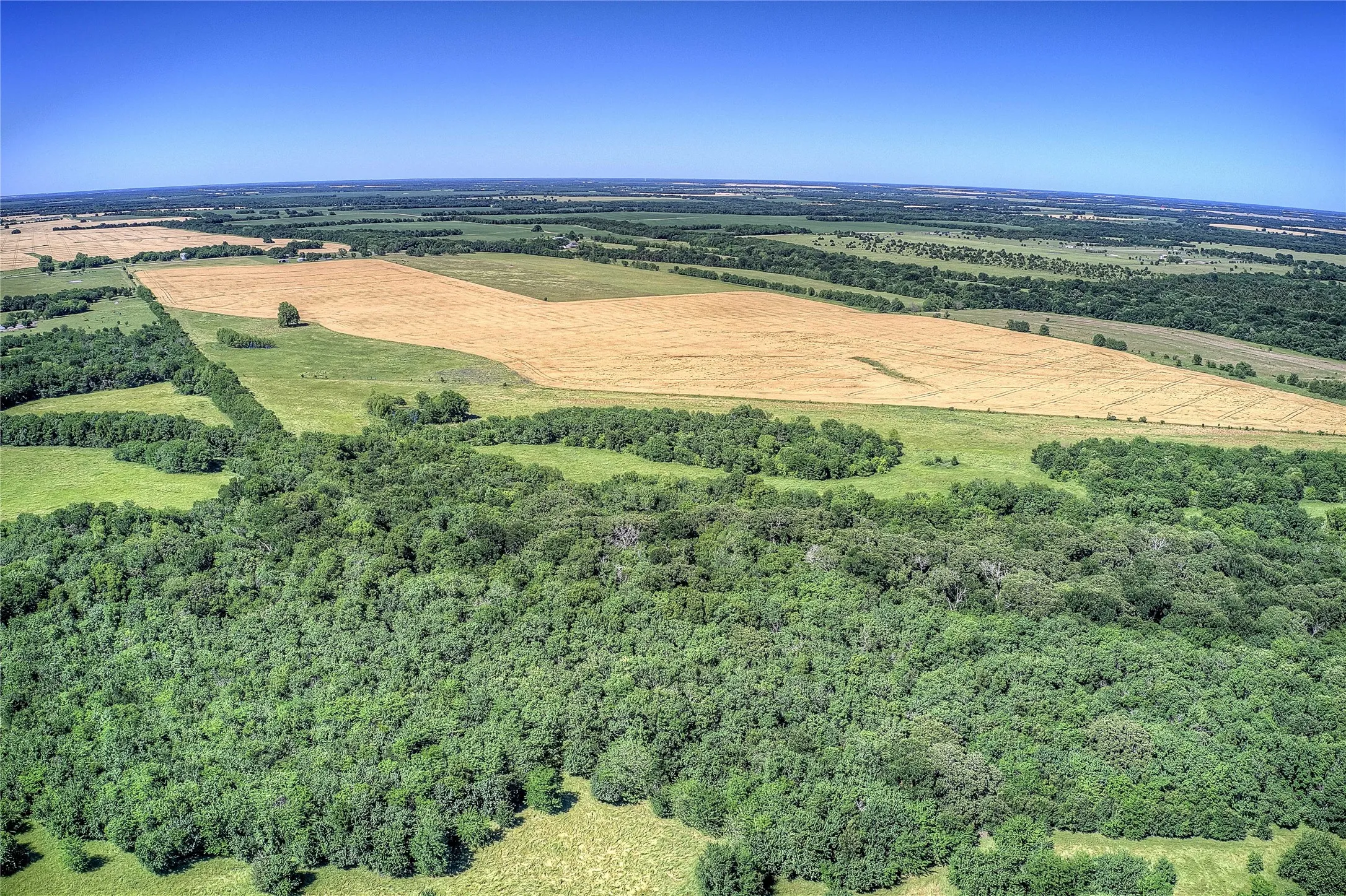 Improved Land For Sale in Hunt County , 6399 Fm 2068, Commerce, Texas 75428, 0, 0, Garage spaces, 0 Sqft, built in 0, Price $708,500, mls#21320683, Real Estate Agent in Commerce, Homes For Sale in Hunt county, Homes For Sale in Commerce, Realtor in Commerce Texas, Real Estate Brokerage Independent Realty Texas, Luminita Cordes Realtor