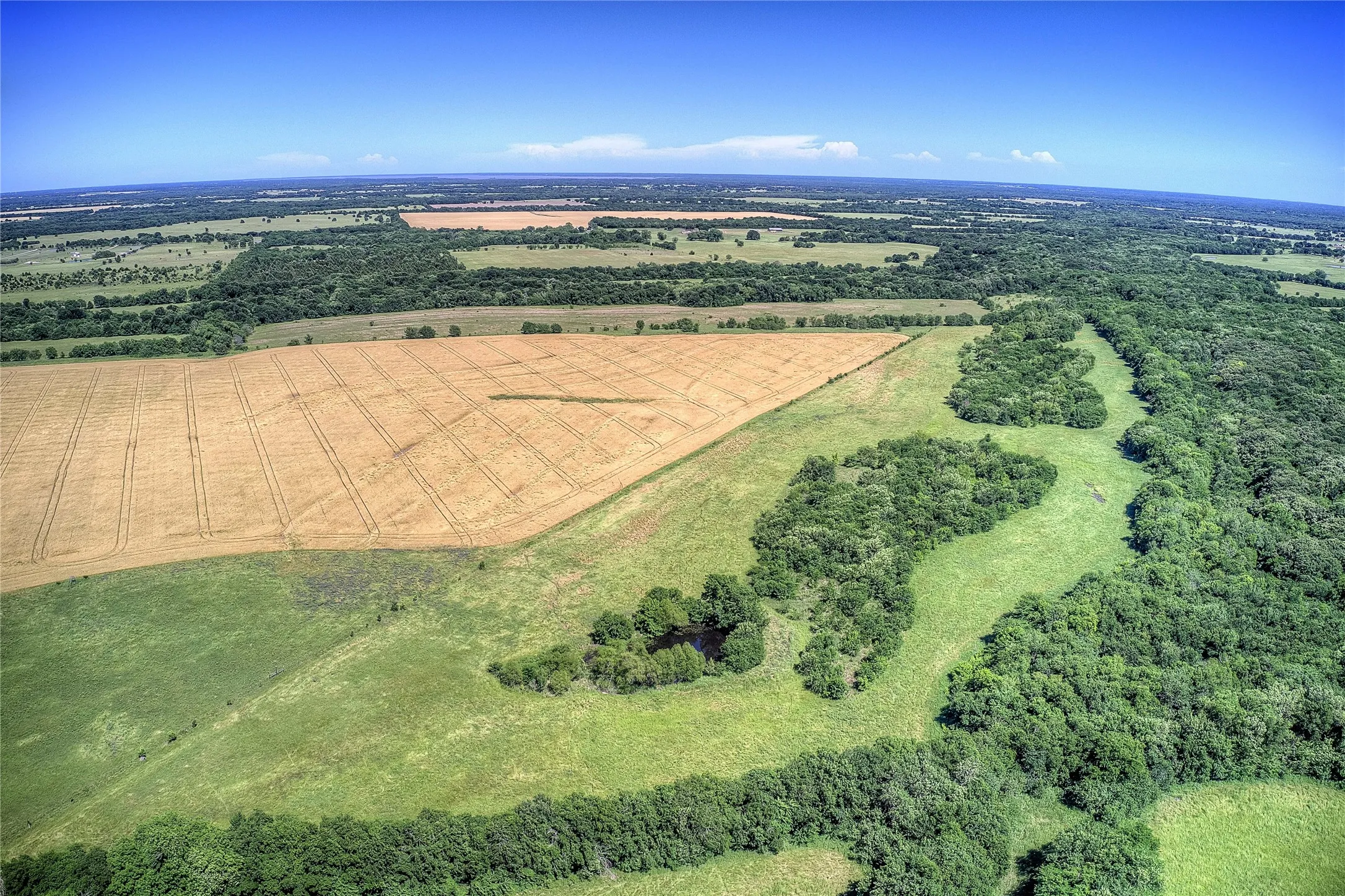 Improved Land For Sale in Hunt County , 6399 Fm 2068, Commerce, Texas 75428, 0, 0, Garage spaces, 0 Sqft, built in 0, Price $708,500, mls#21320683, Real Estate Agent in Commerce, Homes For Sale in Hunt county, Homes For Sale in Commerce, Realtor in Commerce Texas, Real Estate Brokerage Independent Realty Texas, Luminita Cordes Realtor