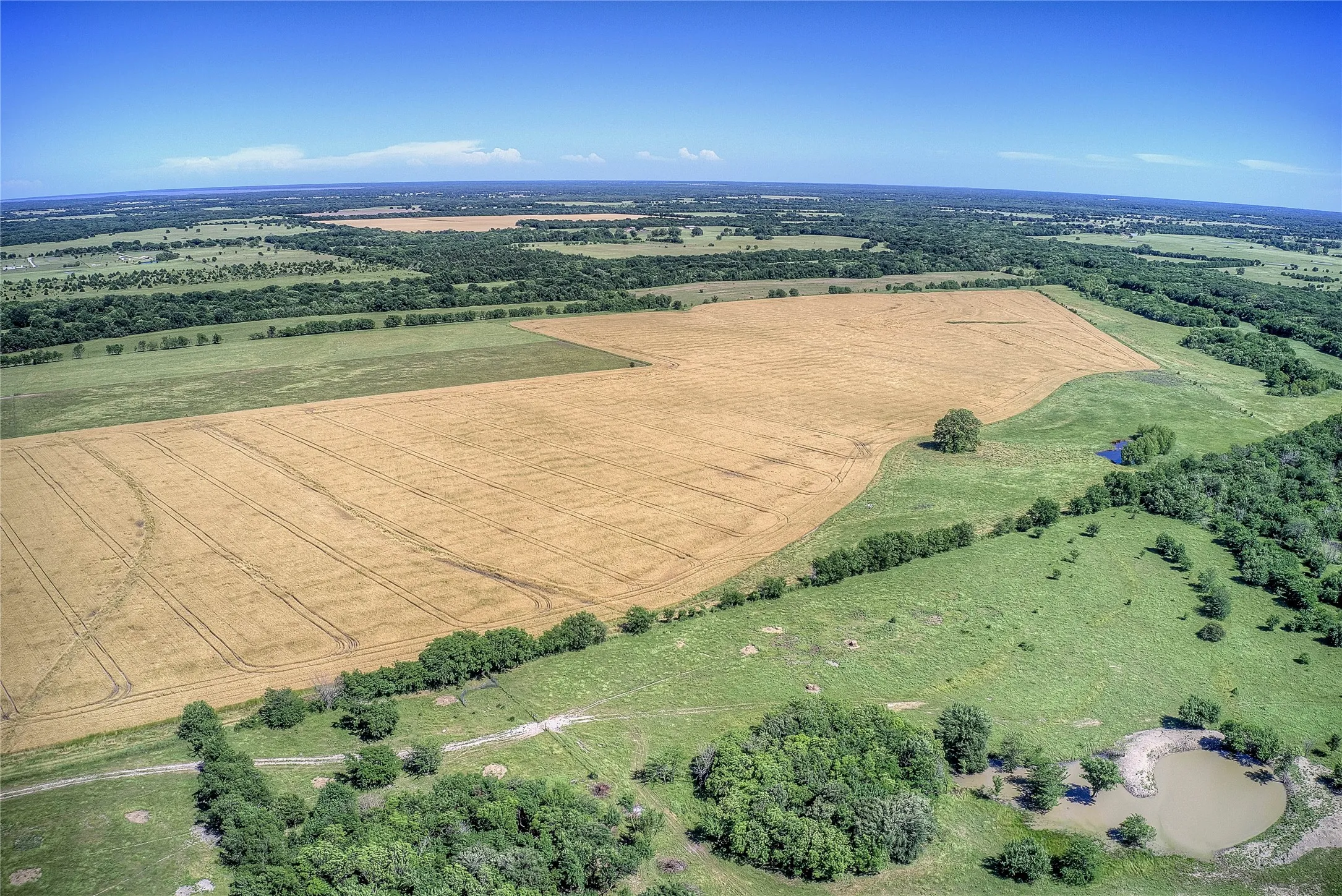 Improved Land For Sale in Hunt County , 6399 Fm 2068, Commerce, Texas 75428, 0, 0, Garage spaces, 0 Sqft, built in 0, Price $708,500, mls#21320683, Real Estate Agent in Commerce, Homes For Sale in Hunt county, Homes For Sale in Commerce, Realtor in Commerce Texas, Real Estate Brokerage Independent Realty Texas, Luminita Cordes Realtor