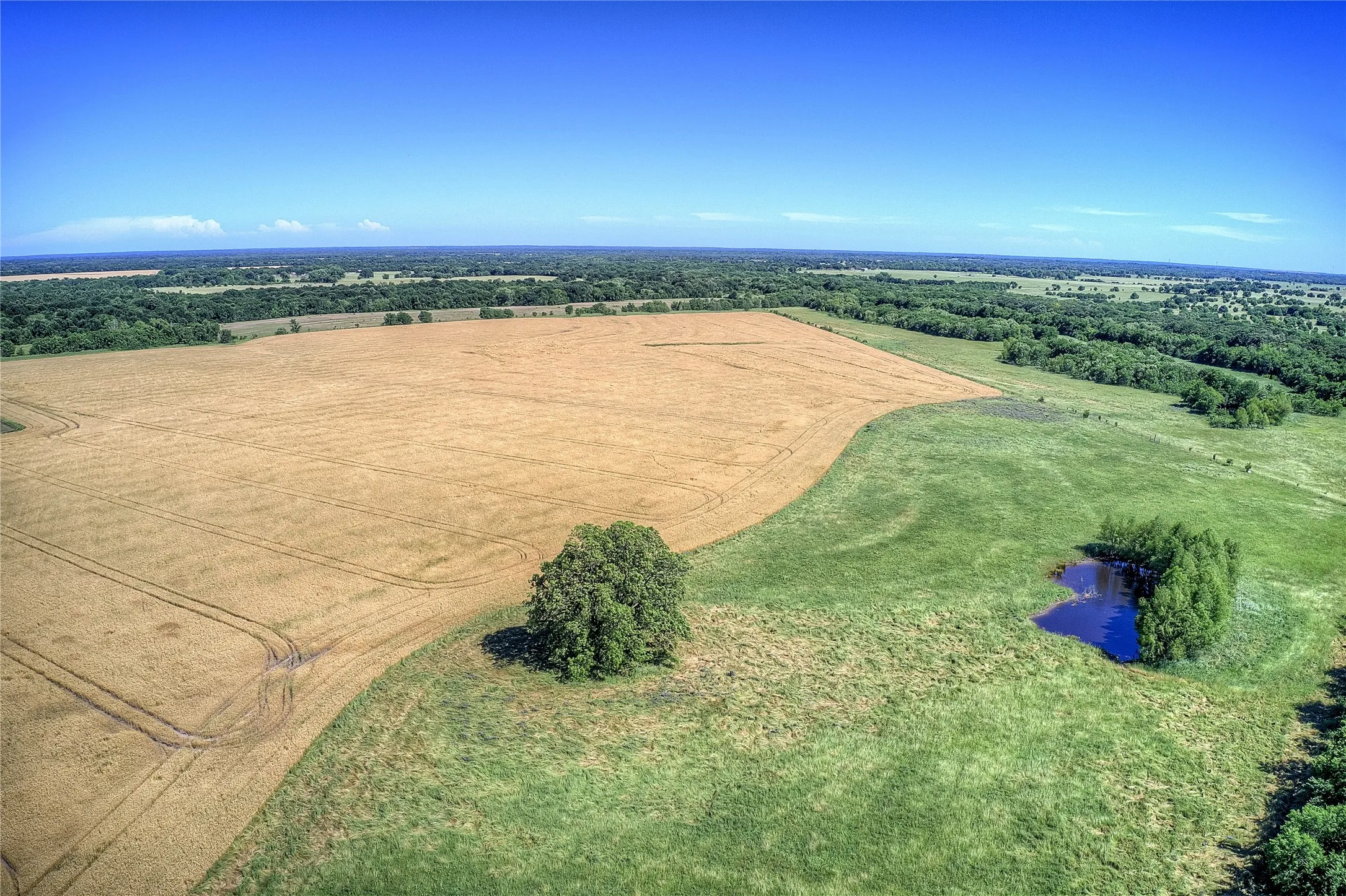 Improved Land For Sale in Hunt County , 6399 Fm 2068, Commerce, Texas 75428, 0, 0, Garage spaces, 0 Sqft, built in 0, Price $708,500, mls#21320683, Real Estate Agent in Commerce, Homes For Sale in Hunt county, Homes For Sale in Commerce, Realtor in Commerce Texas, Real Estate Brokerage Independent Realty Texas, Luminita Cordes Realtor