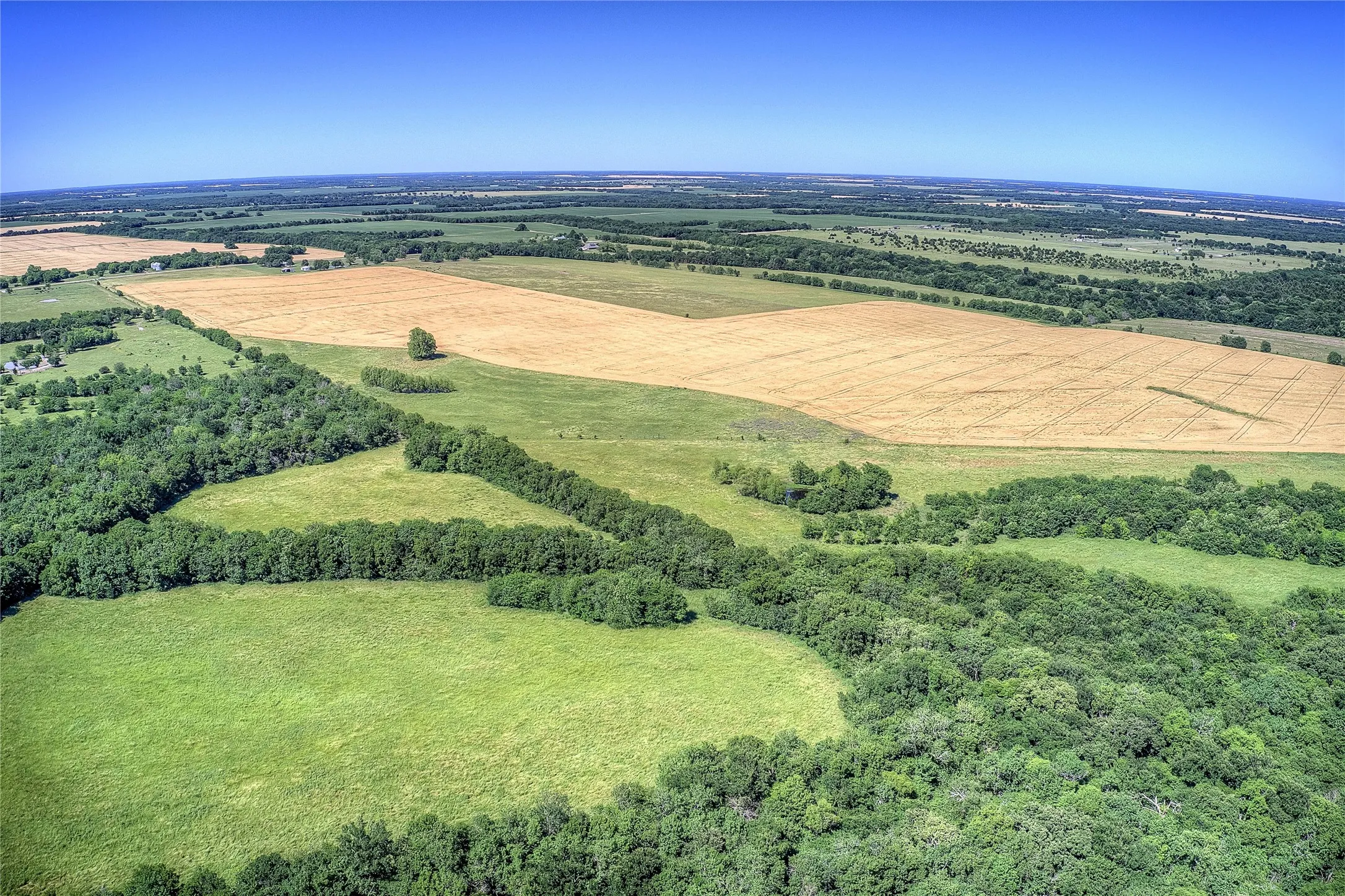 Improved Land For Sale in Hunt County , 6399 Fm 2068, Commerce, Texas 75428, 0, 0, Garage spaces, 0 Sqft, built in 0, Price $708,500, mls#21320683, Real Estate Agent in Commerce, Homes For Sale in Hunt county, Homes For Sale in Commerce, Realtor in Commerce Texas, Real Estate Brokerage Independent Realty Texas, Luminita Cordes Realtor