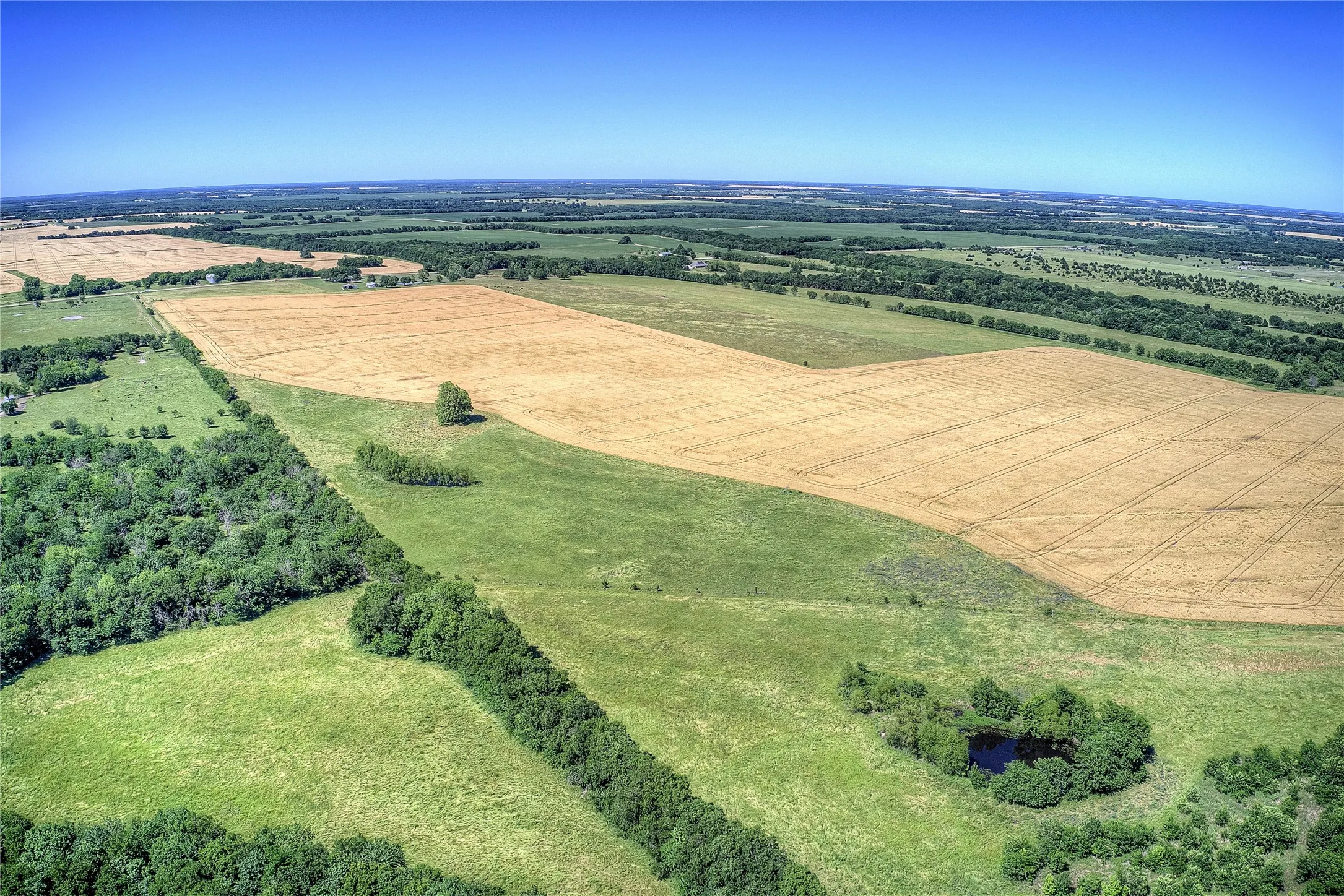 Improved Land For Sale in Hunt County , 6399 Fm 2068, Commerce, Texas 75428, 0, 0, Garage spaces, 0 Sqft, built in 0, Price $708,500, mls#21320683, Real Estate Agent in Commerce, Homes For Sale in Hunt county, Homes For Sale in Commerce, Realtor in Commerce Texas, Real Estate Brokerage Independent Realty Texas, Luminita Cordes Realtor