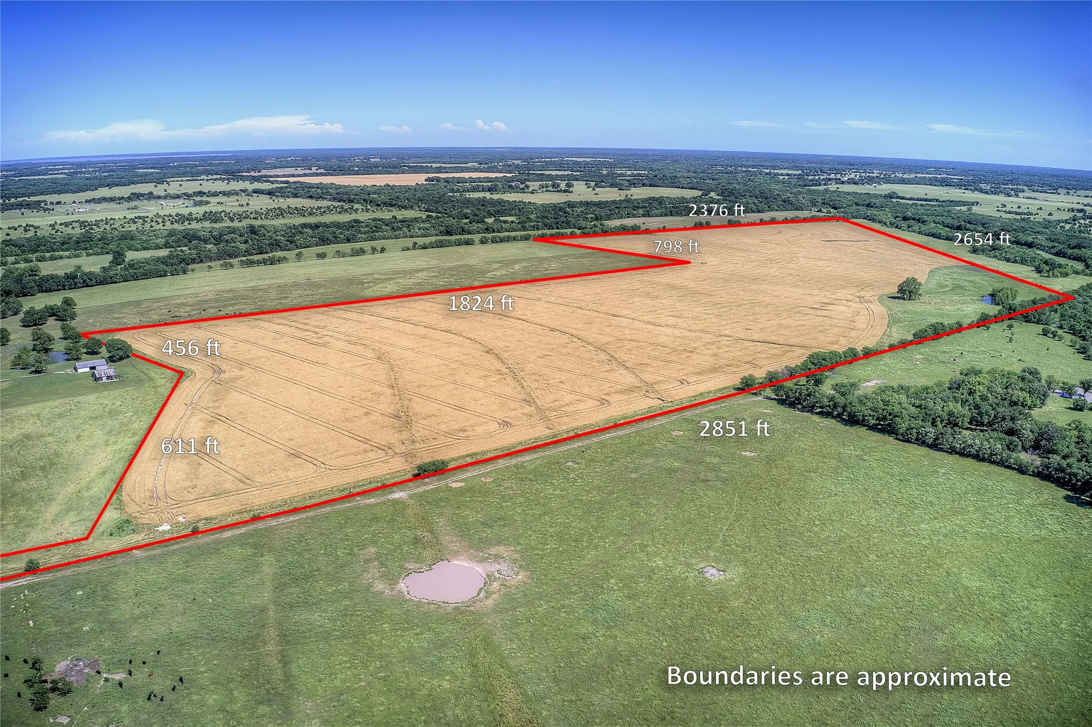Improved Land For Sale in Hunt County , 6399 Fm 2068, Commerce, Texas 75428, 0, 0, Garage spaces, 0 Sqft, built in 0, Price $708,500, mls#21320683, Real Estate Agent in Commerce, Homes For Sale in Hunt county, Homes For Sale in Commerce, Realtor in Commerce Texas, Real Estate Brokerage Independent Realty Texas, Luminita Cordes Realtor