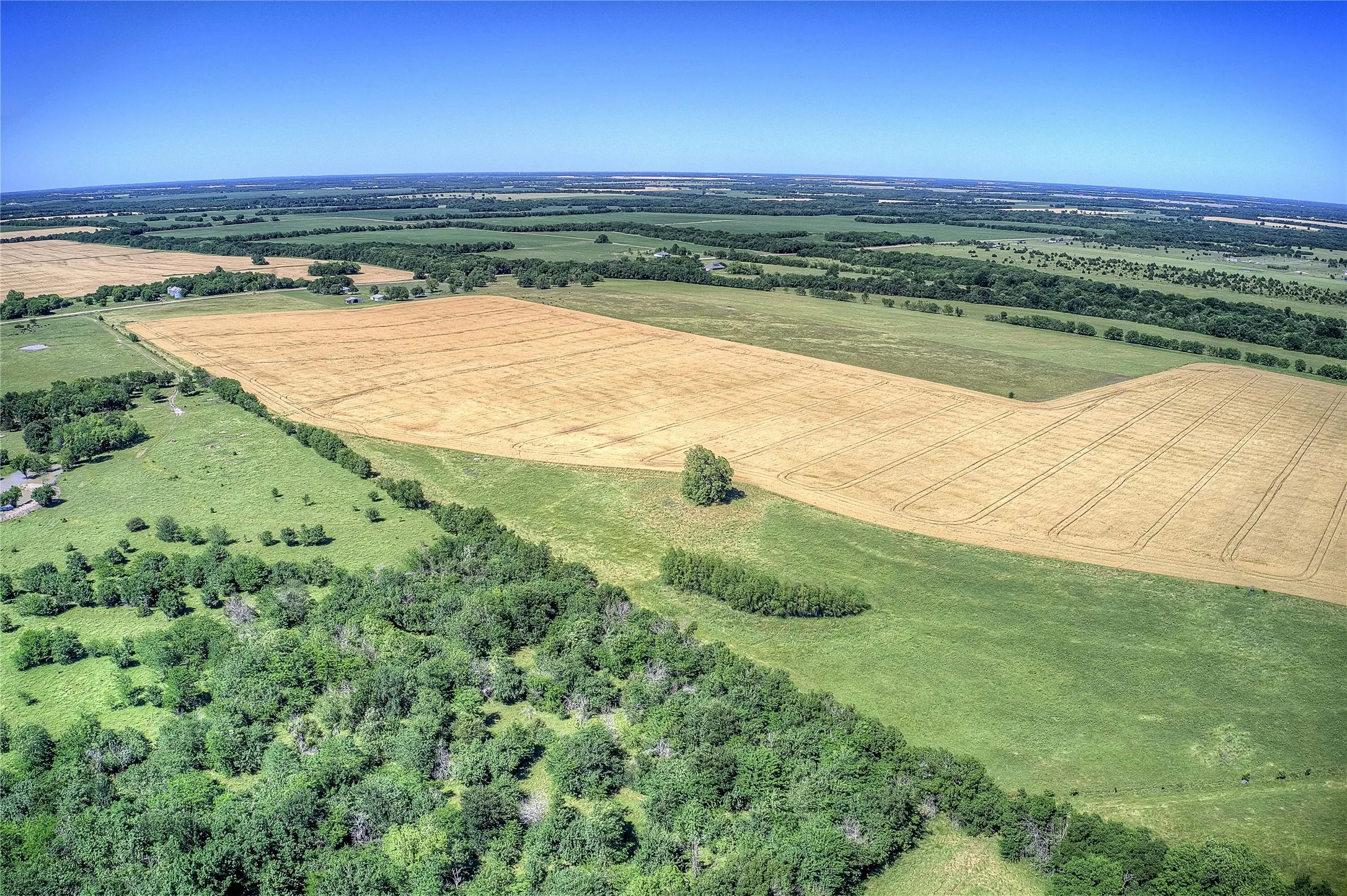 Improved Land For Sale in Hunt County , 6399 Fm 2068, Commerce, Texas 75428, 0, 0, Garage spaces, 0 Sqft, built in 0, Price $708,500, mls#21320683, Real Estate Agent in Commerce, Homes For Sale in Hunt county, Homes For Sale in Commerce, Realtor in Commerce Texas, Real Estate Brokerage Independent Realty Texas, Luminita Cordes Realtor