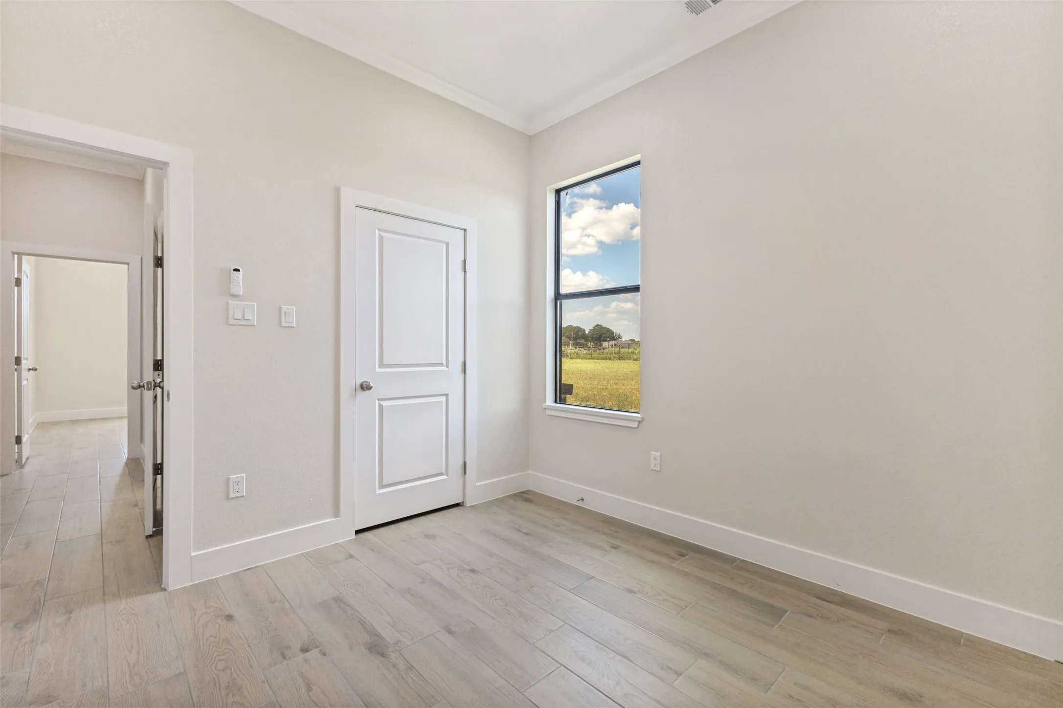 Light wood-finish flooring with white baseboards and crown molding