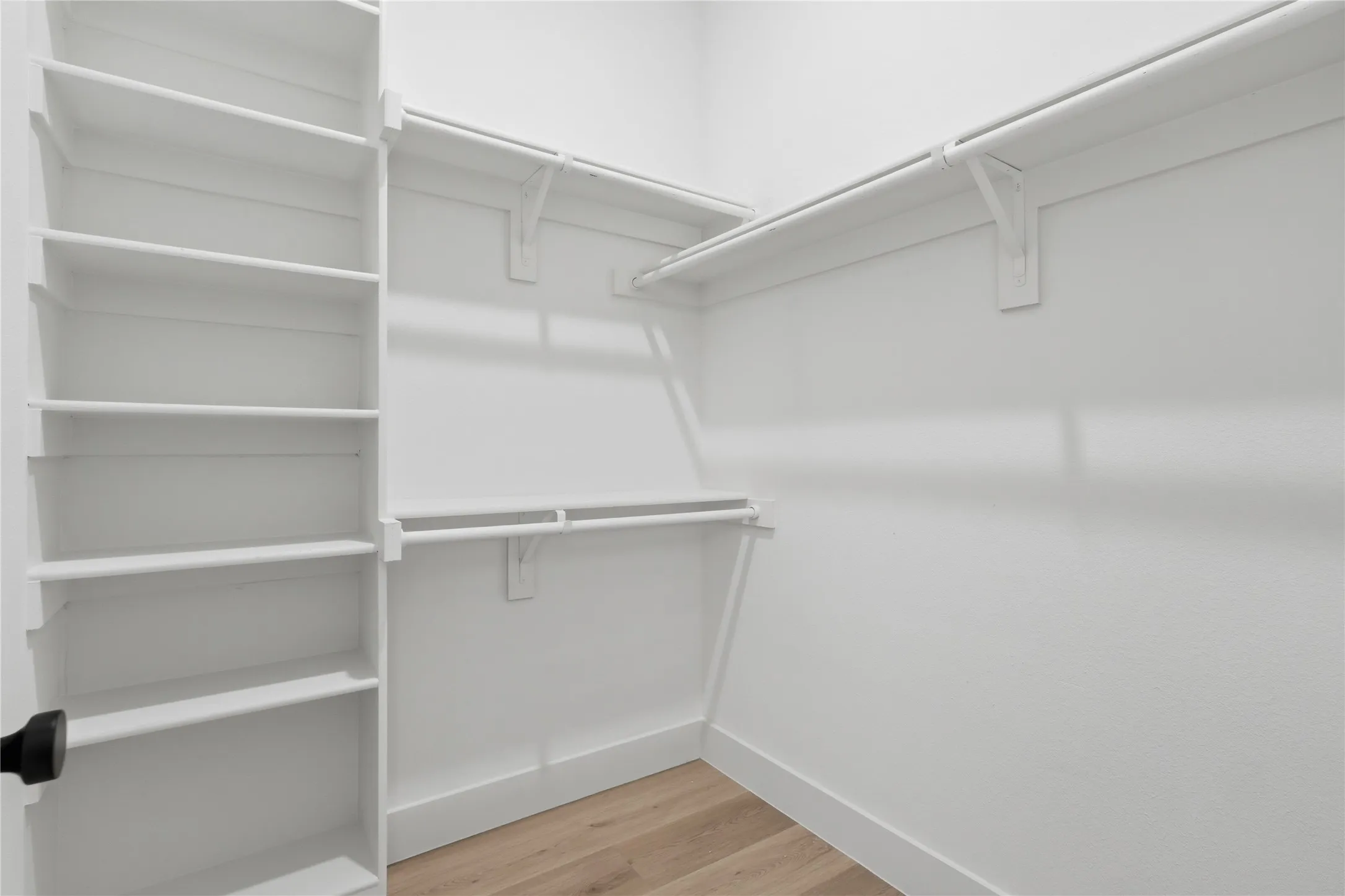Spacious walk-in closet featuring light wood-finish flooring