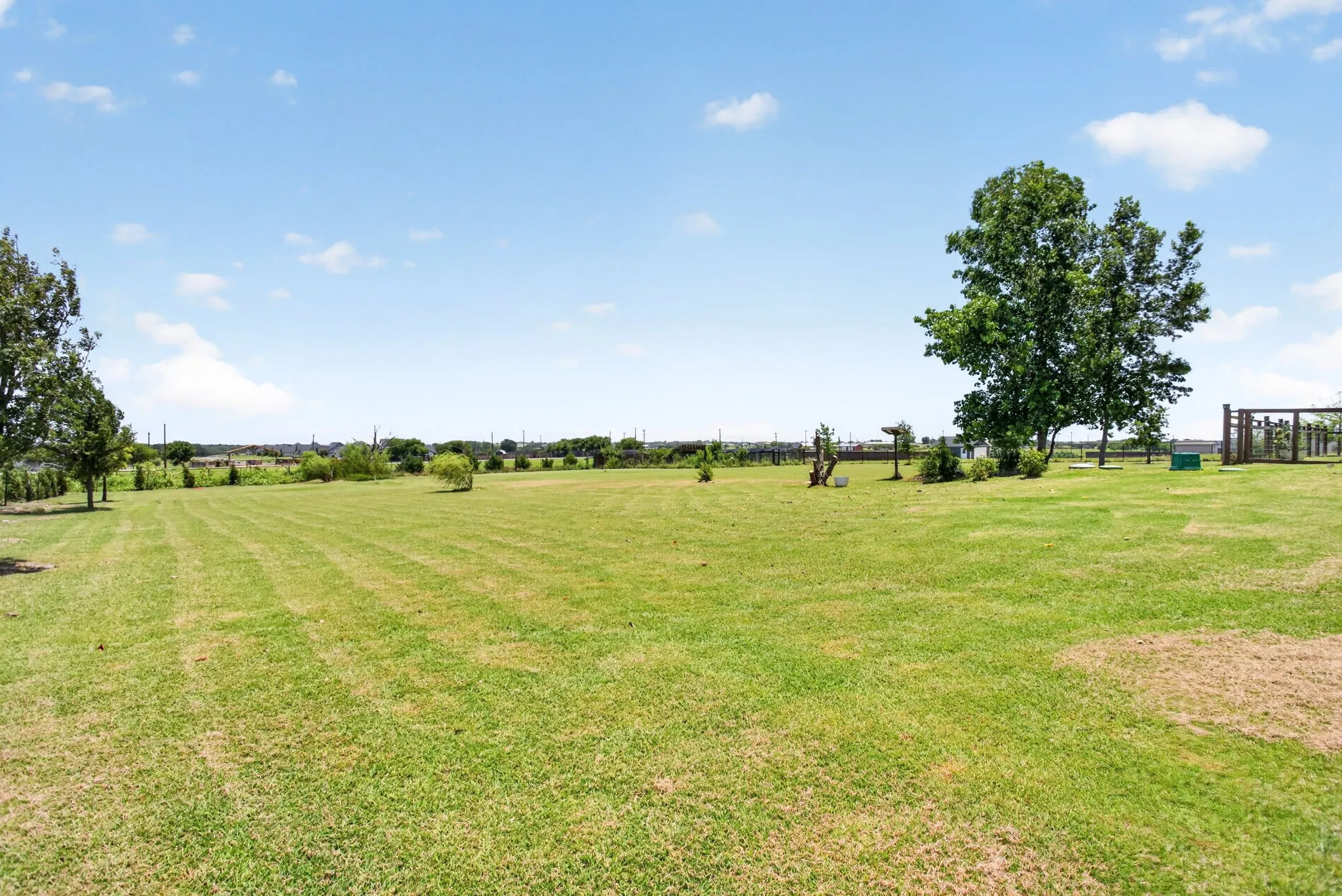 Expansive green space featuring a large, established tree and a distant treeline