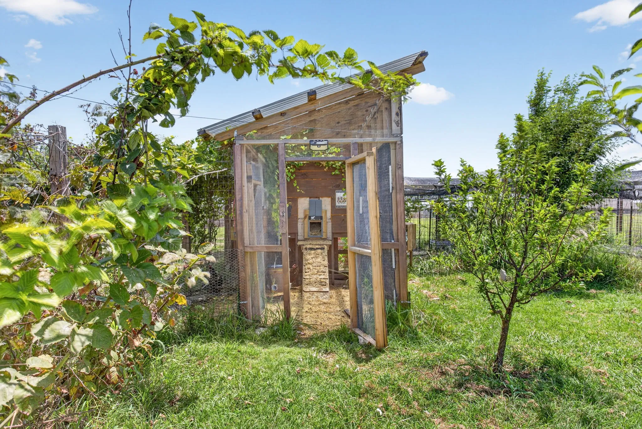 Freestanding wooden structure with a metal roof and open screen door, surrounded by mature greenery and a small tree