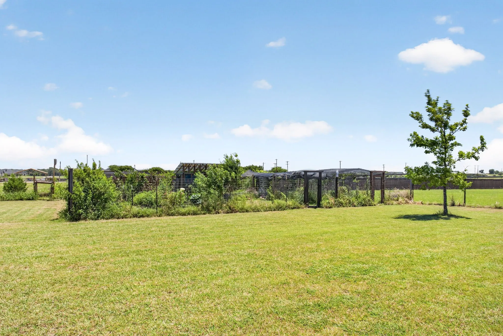 Expansive outdoor space featuring a manicured lawn, established landscaping, and a young deciduous tree