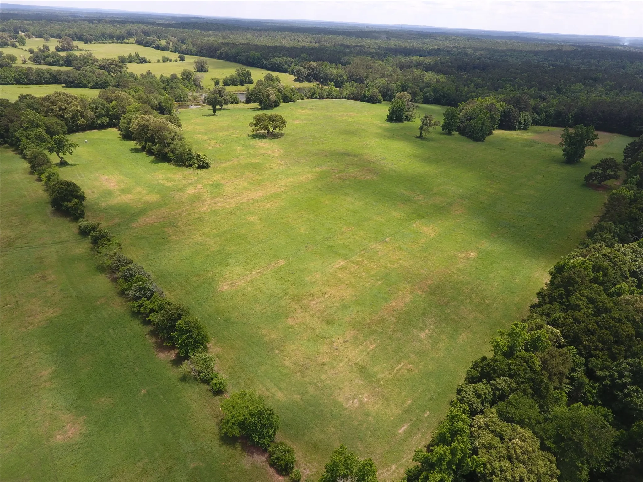 Farm For Sale in Anderson County , 11400 E Fm-321, Palestine, Texas 75803, 4 Bedroom, 2 Bathroom, 2 Garage spaces, 2,240 Sqft, built in 2024, mls#21310756, Real Estate Agent in Palestine, Homes For Sale in Anderson county, Homes For Sale in Palestine, Realtor in Palestine Texas, Real Estate Brokerage Independent Realty Texas, Luminita Cordes Realtor