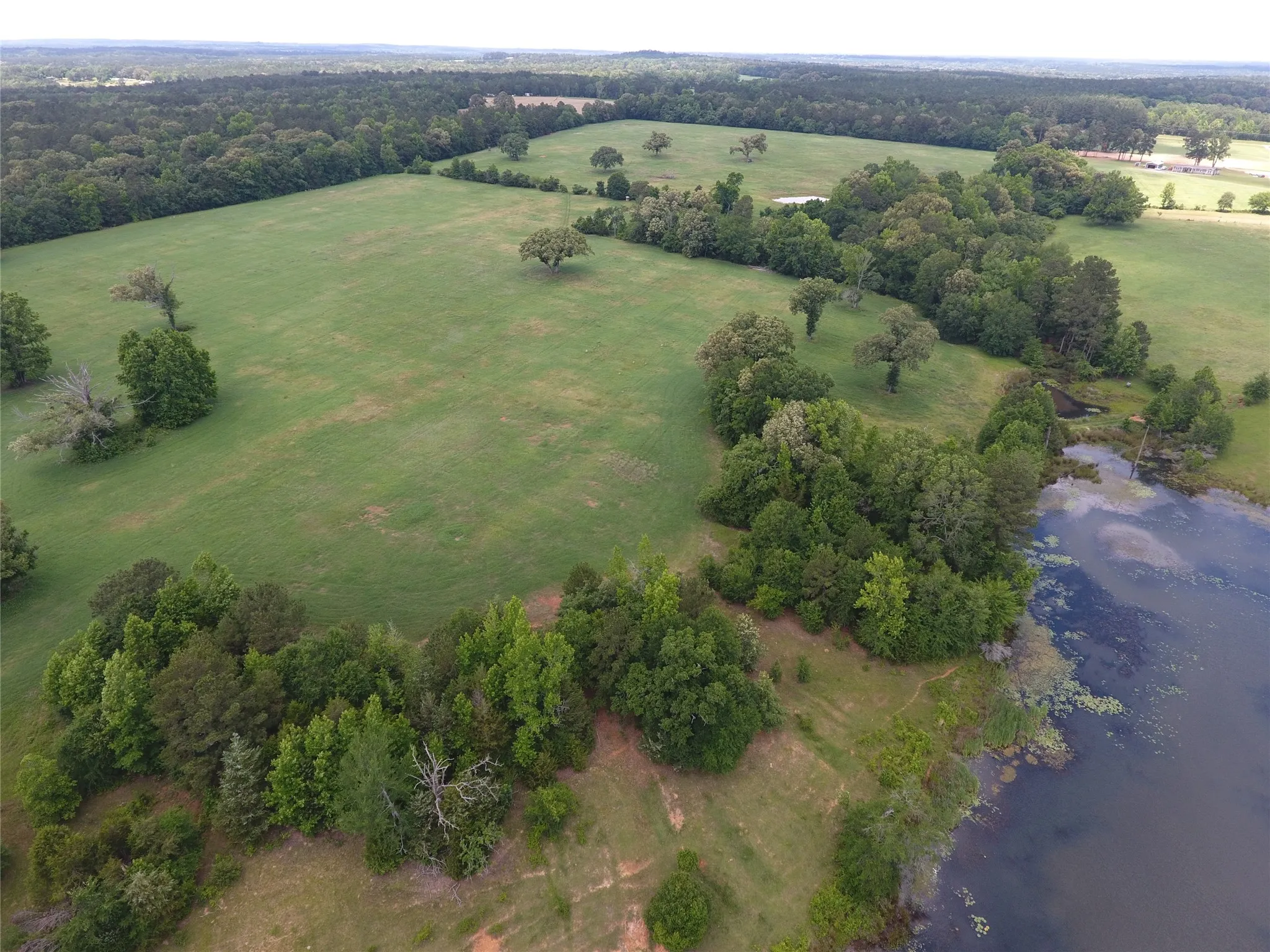 Farm For Sale in Anderson County , 11400 E Fm-321, Palestine, Texas 75803, 4 Bedroom, 2 Bathroom, 2 Garage spaces, 2,240 Sqft, built in 2024, mls#21310756, Real Estate Agent in Palestine, Homes For Sale in Anderson county, Homes For Sale in Palestine, Realtor in Palestine Texas, Real Estate Brokerage Independent Realty Texas, Luminita Cordes Realtor