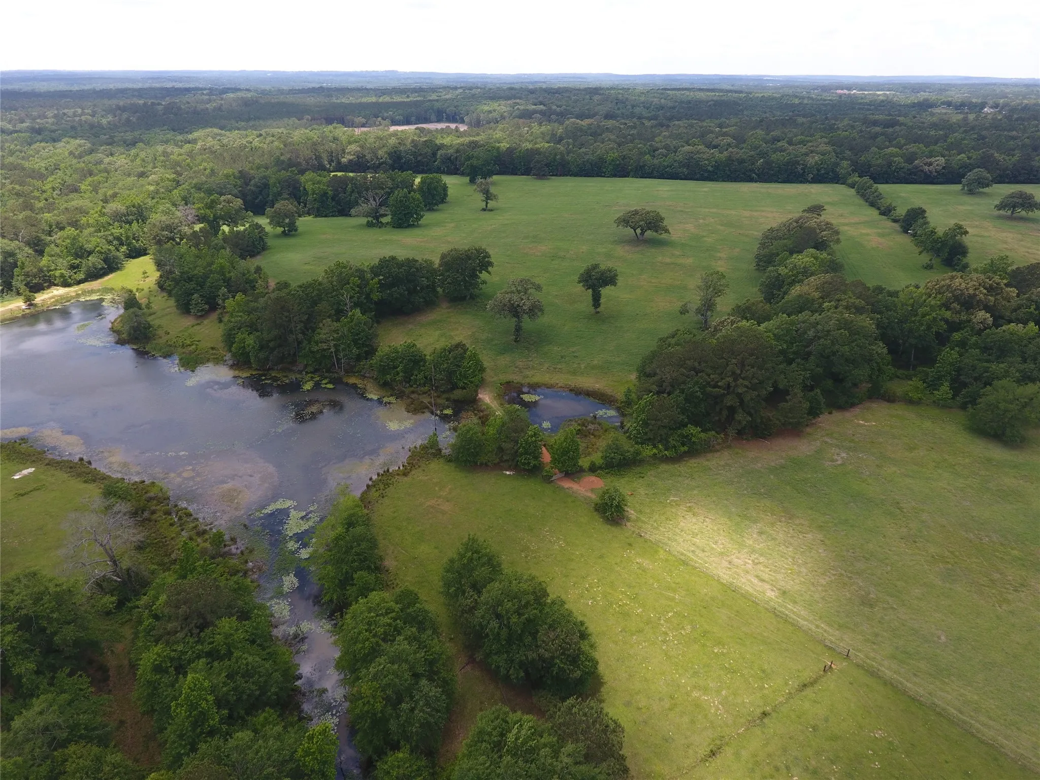Farm For Sale in Anderson County , 11400 E Fm-321, Palestine, Texas 75803, 4 Bedroom, 2 Bathroom, 2 Garage spaces, 2,240 Sqft, built in 2024, mls#21310756, Real Estate Agent in Palestine, Homes For Sale in Anderson county, Homes For Sale in Palestine, Realtor in Palestine Texas, Real Estate Brokerage Independent Realty Texas, Luminita Cordes Realtor