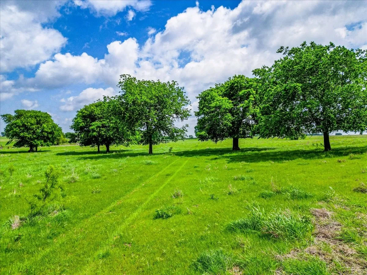 Farm For Sale in Hill County , 11436 St Hwy 171, Covington, Texas 76636, 2 Bedrooms, 2 Bathrooms, Garage spaces, 1,299 Sqft, built in 2003, Price $4,837,185, mls#21315866, Real Estate Agent in Covington, Homes For Sale in Hill county, Homes For Sale in Covington, Realtor in Covington Texas, Real Estate Brokerage Independent Realty Texas, Luminita Cordes Realtor