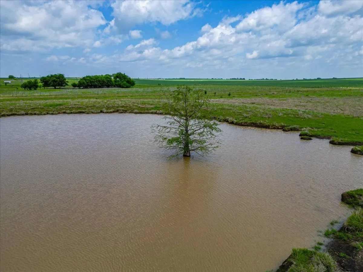 Ranch For Sale in Hill County , TBD St Hwy 171, Covington, Texas 76636, 0, 0, Garage spaces, 0 Sqft, built in 2003, mls#21315802, Real Estate Agent in Covington, Homes For Sale in Hill county, Homes For Sale in Covington, Realtor in Covington Texas, Real Estate Brokerage Independent Realty Texas, Luminita Cordes Realtor