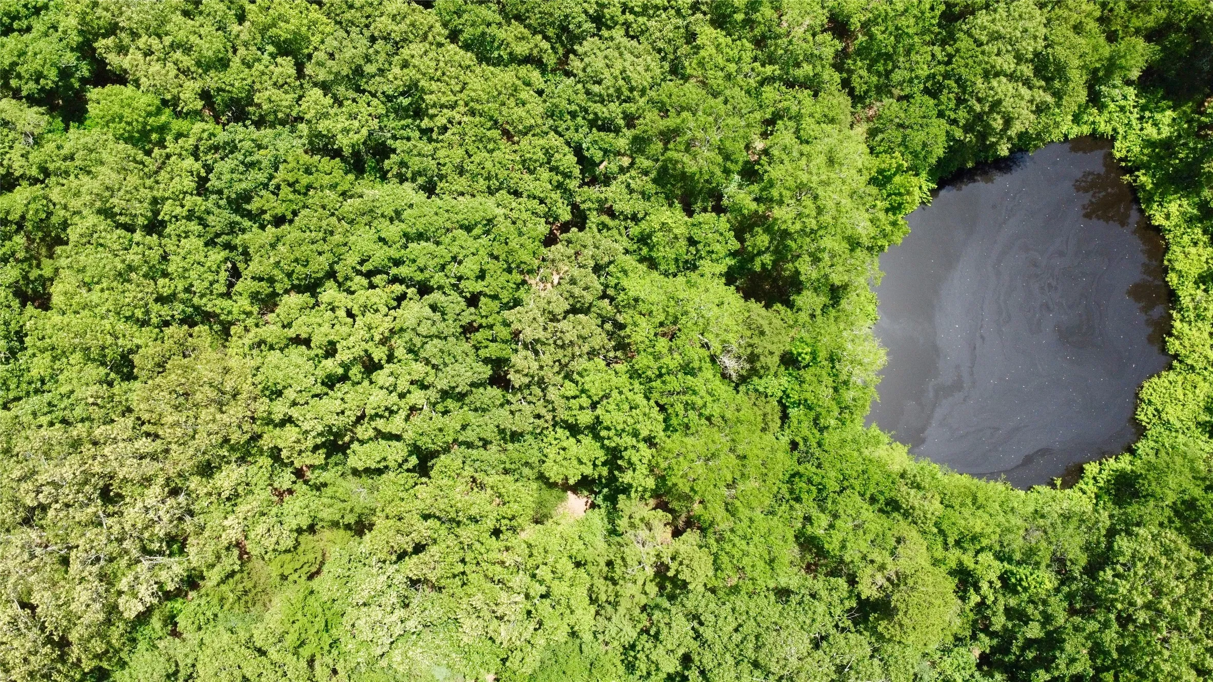 Unimproved Land For Sale in Lamar County , Tract 3 CR 44400, Powderly, Texas 75473, 0, 0, Garage spaces, 0 Sqft, built in 0, mls#21320726, Real Estate Agent in Powderly, Homes For Sale in Lamar county, Homes For Sale in Powderly, Realtor in Powderly Texas, Real Estate Brokerage Independent Realty Texas, Luminita Cordes Realtor