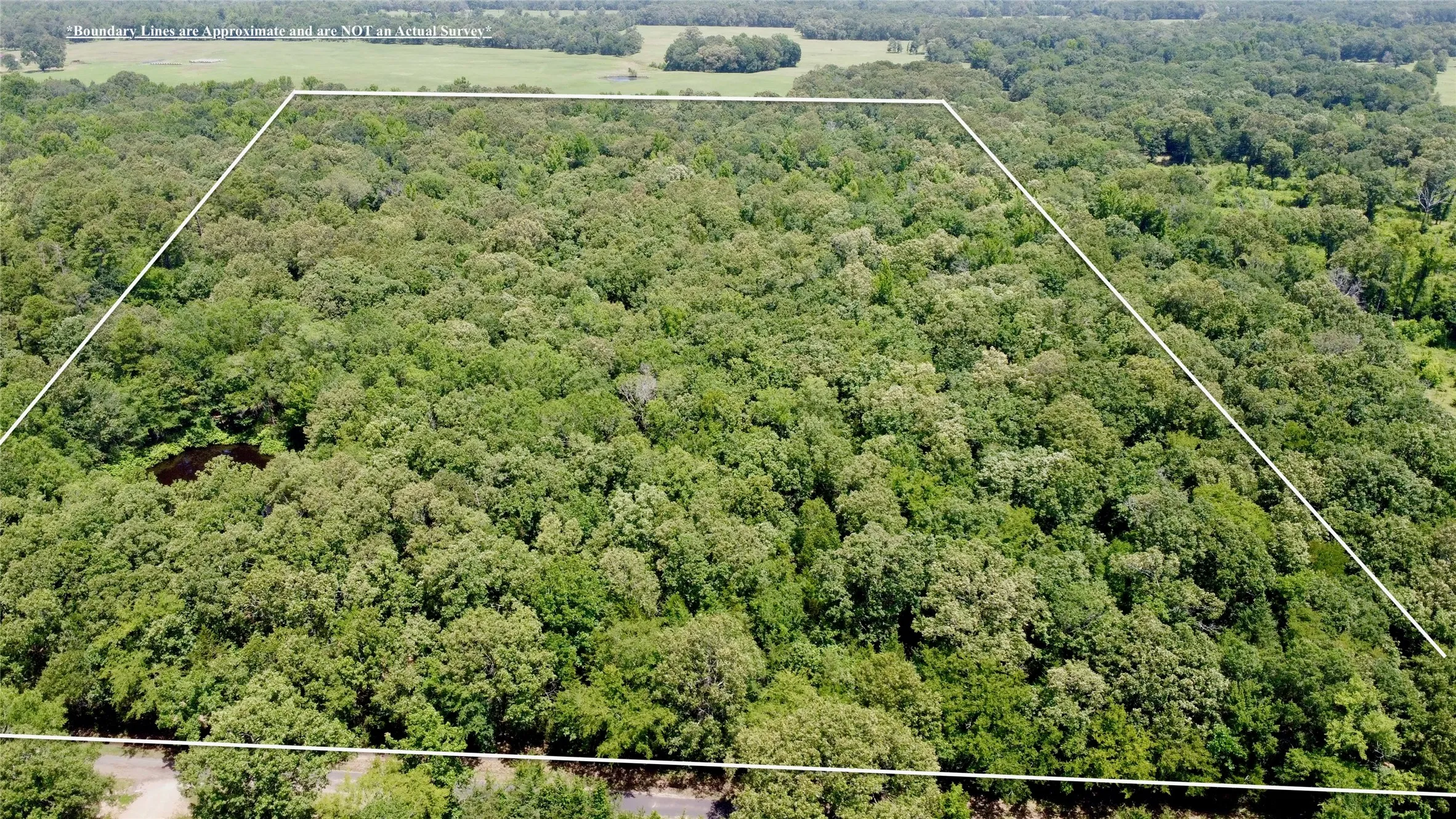 Unimproved Land For Sale in Lamar County , Tract 3 CR 44400, Powderly, Texas 75473, 0, 0, Garage spaces, 0 Sqft, built in 0, mls#21320726, Real Estate Agent in Powderly, Homes For Sale in Lamar county, Homes For Sale in Powderly, Realtor in Powderly Texas, Real Estate Brokerage Independent Realty Texas, Luminita Cordes Realtor
