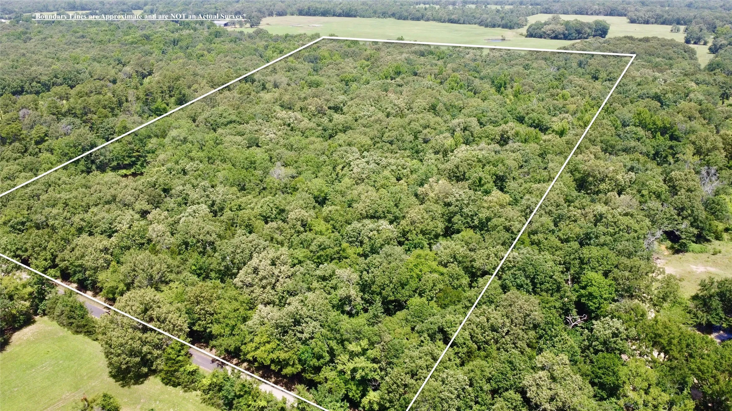 Unimproved Land For Sale in Lamar County , Tract 3 CR 44400, Powderly, Texas 75473, 0, 0, Garage spaces, 0 Sqft, built in 0, mls#21320726, Real Estate Agent in Powderly, Homes For Sale in Lamar county, Homes For Sale in Powderly, Realtor in Powderly Texas, Real Estate Brokerage Independent Realty Texas, Luminita Cordes Realtor