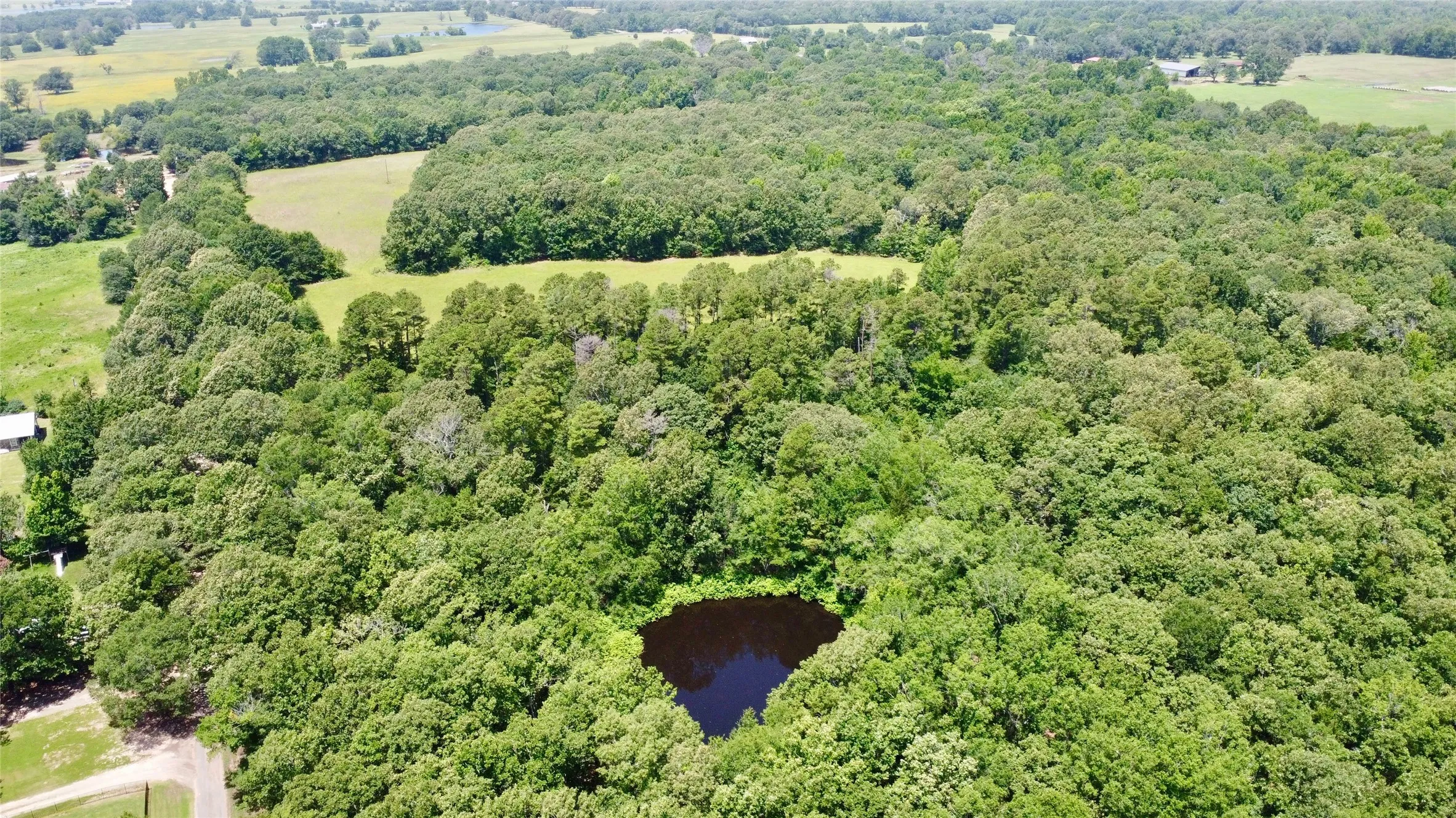 Unimproved Land For Sale in Lamar County , Tract 3 CR 44400, Powderly, Texas 75473, 0, 0, Garage spaces, 0 Sqft, built in 0, mls#21320726, Real Estate Agent in Powderly, Homes For Sale in Lamar county, Homes For Sale in Powderly, Realtor in Powderly Texas, Real Estate Brokerage Independent Realty Texas, Luminita Cordes Realtor