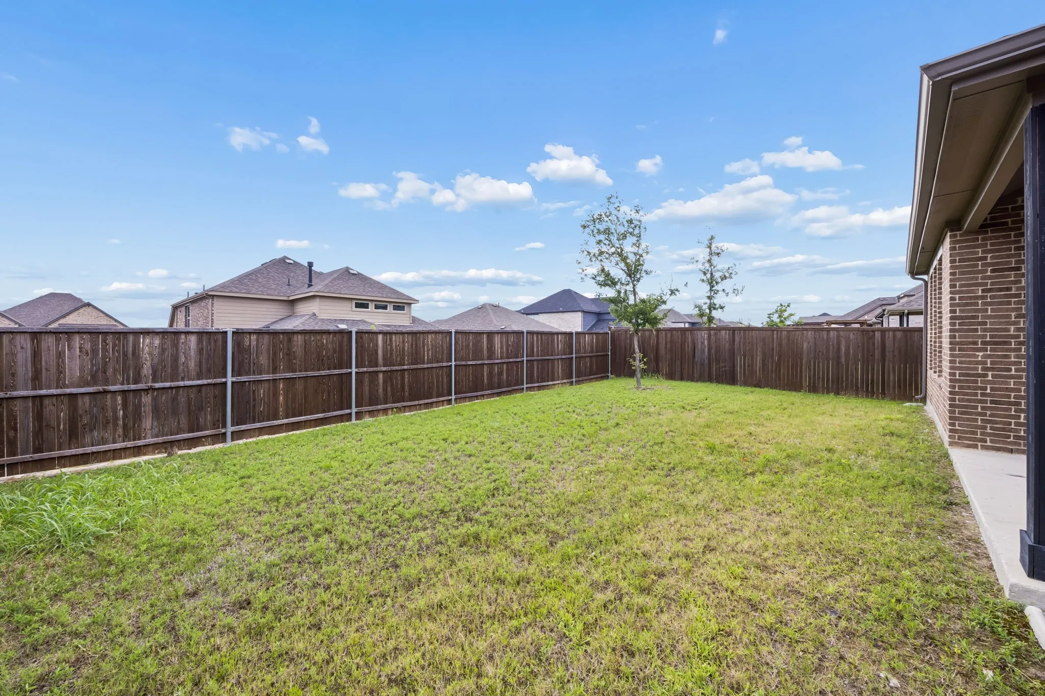 Expansive backyard with a wooden privacy fence, a young tree, and a partial brick exterior