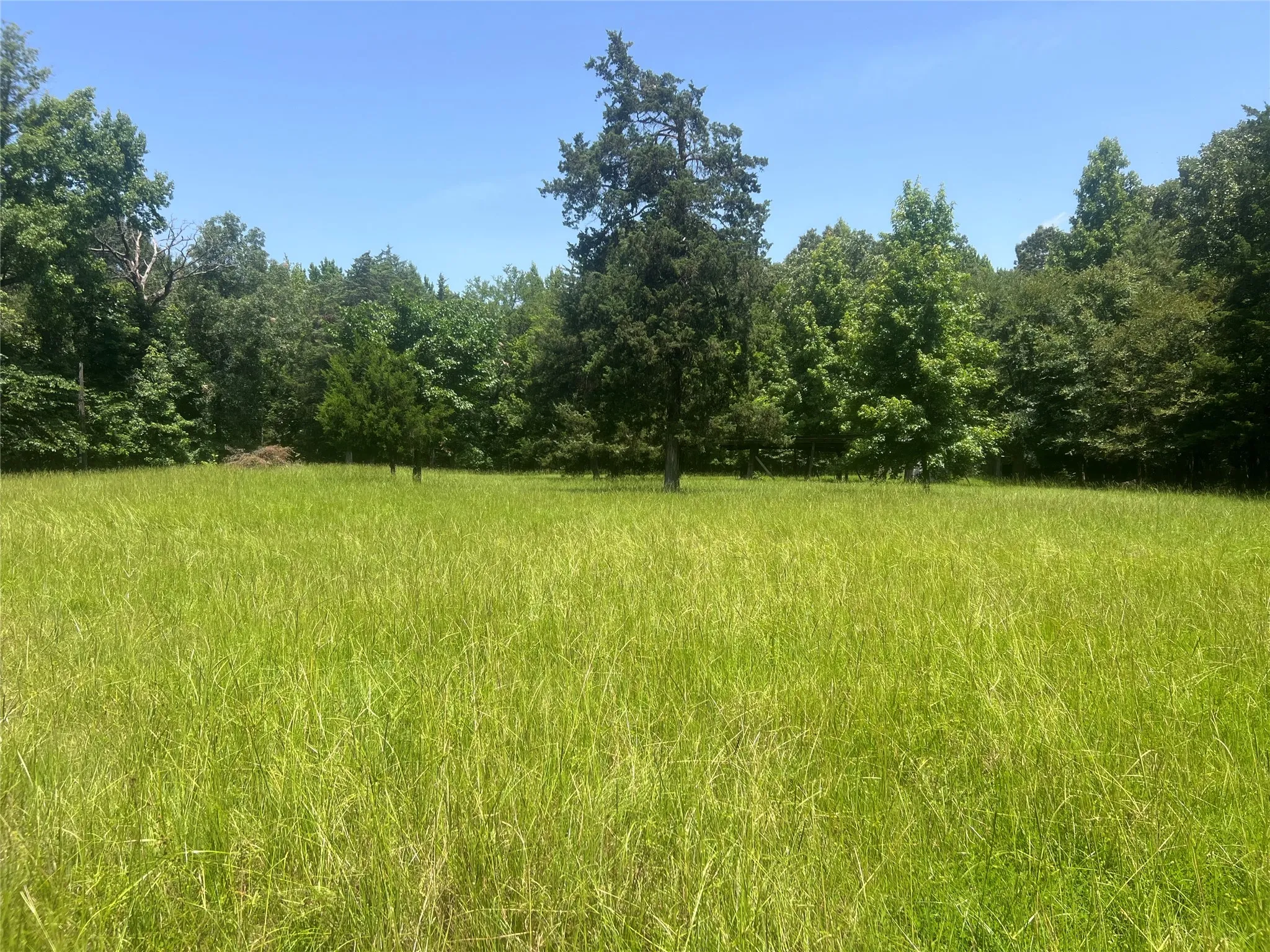 Unimproved Land For Sale in Lamar County , Tract 4 CR 44400, Powderly, Texas 75473, 0, 0, Garage spaces, 0 Sqft, built in 0, mls#21320755, Real Estate Agent in Powderly, Homes For Sale in Lamar county, Homes For Sale in Powderly, Realtor in Powderly Texas, Real Estate Brokerage Independent Realty Texas, Luminita Cordes Realtor