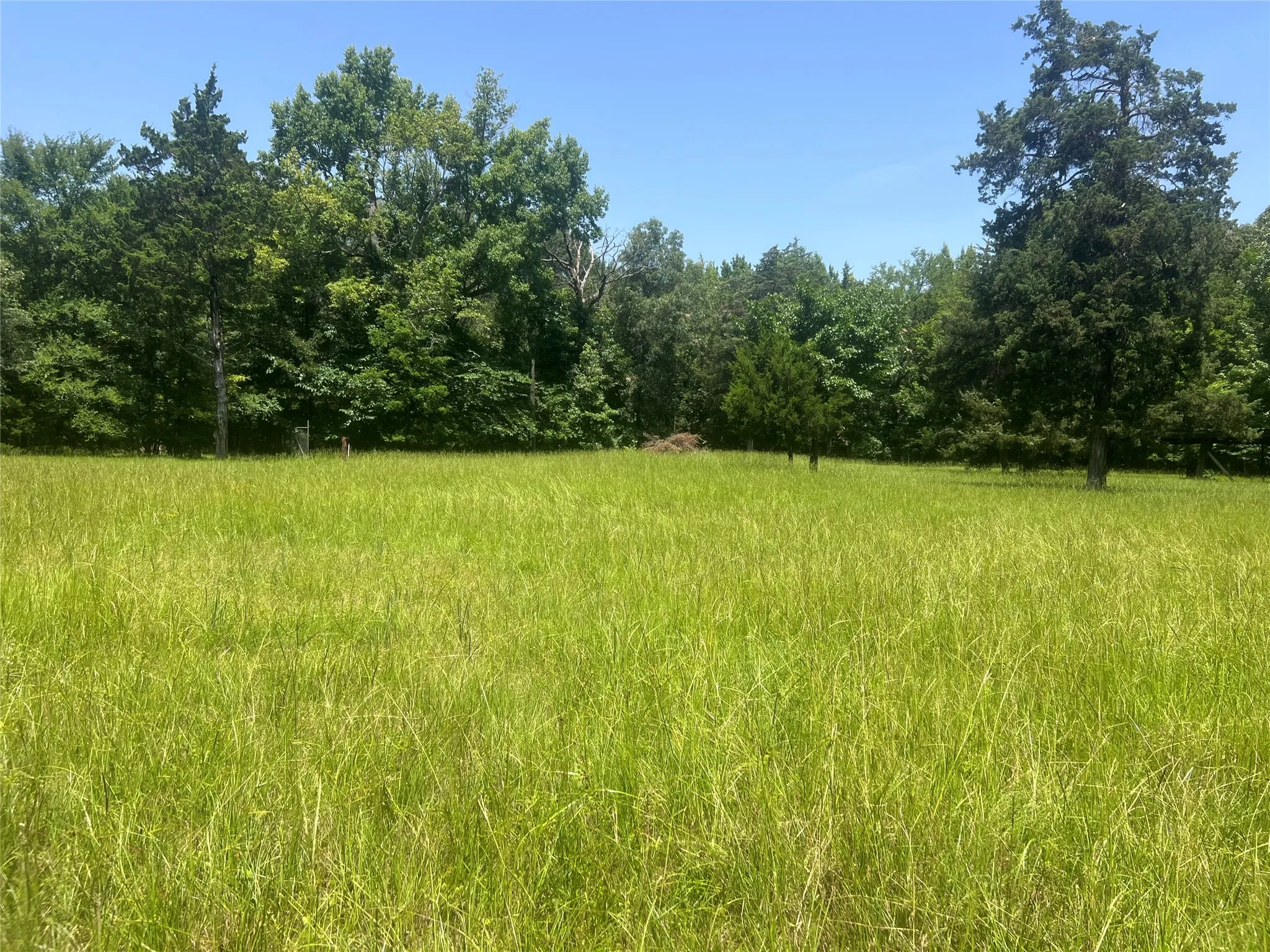 Unimproved Land For Sale in Lamar County , Tract 4 CR 44400, Powderly, Texas 75473, 0, 0, Garage spaces, 0 Sqft, built in 0, mls#21320755, Real Estate Agent in Powderly, Homes For Sale in Lamar county, Homes For Sale in Powderly, Realtor in Powderly Texas, Real Estate Brokerage Independent Realty Texas, Luminita Cordes Realtor