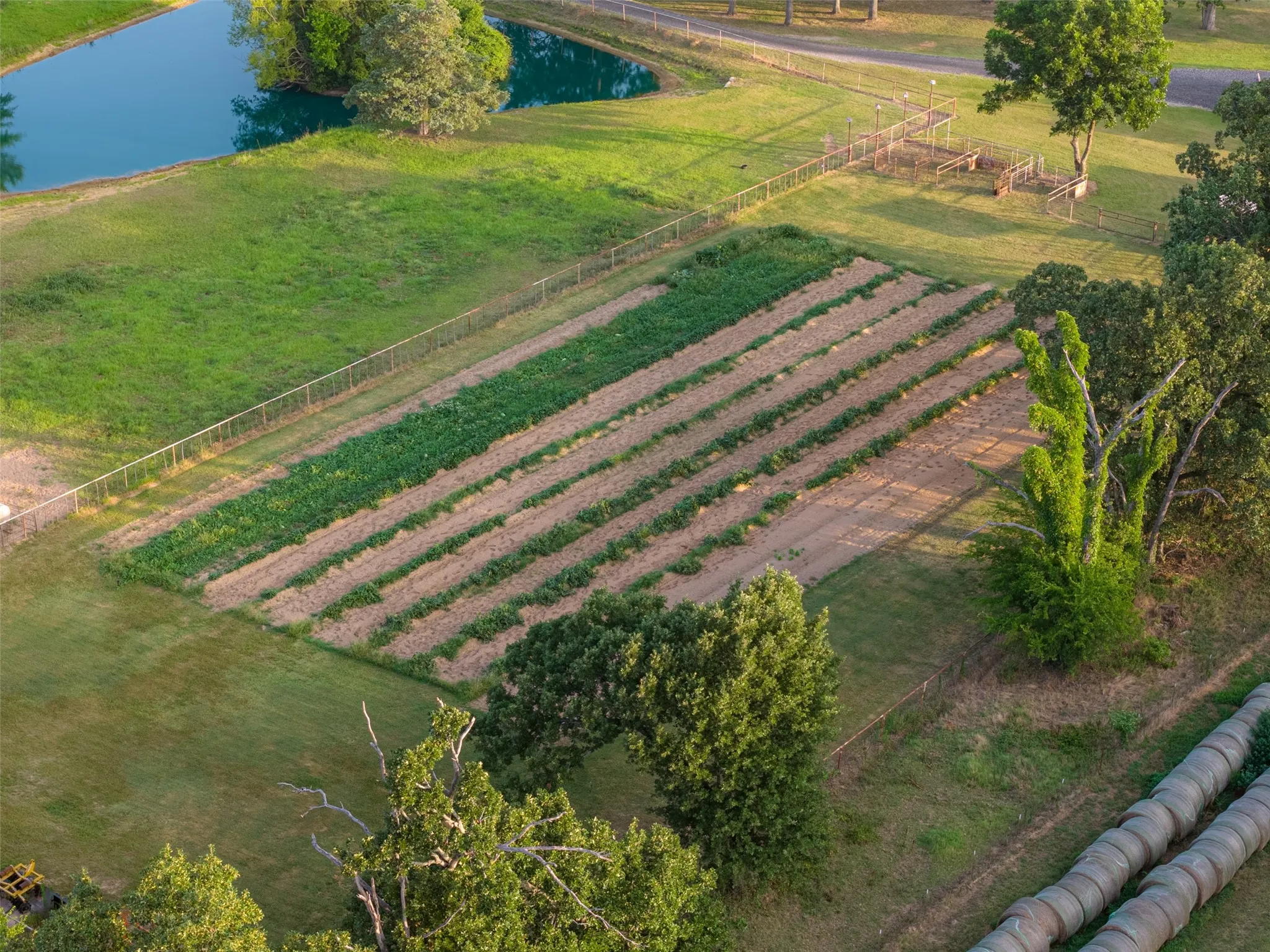 Farm For Sale in Van Zandt County , 10457 State Highway 110, Van, Texas 75790, 3 Bedroom, 3 Bathroom, 1 Garage spaces, 2,360 Sqft, built in 2009, mls#21319661, Real Estate Agent in Van, Homes For Sale in Van Zandt county, Homes For Sale in Van, Realtor in Van Texas, Real Estate Brokerage Independent Realty Texas, Luminita Cordes Realtor