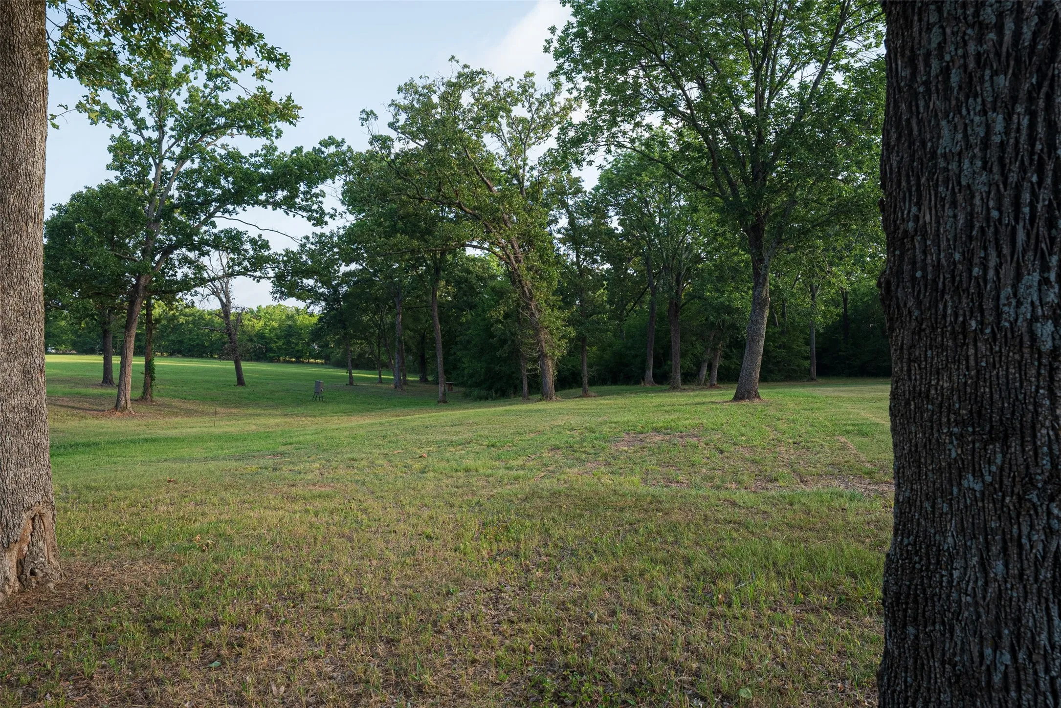 Farm For Sale in Van Zandt County , 10457 State Highway 110, Van, Texas 75790, 3 Bedroom, 3 Bathroom, 1 Garage spaces, 2,360 Sqft, built in 2009, mls#21319661, Real Estate Agent in Van, Homes For Sale in Van Zandt county, Homes For Sale in Van, Realtor in Van Texas, Real Estate Brokerage Independent Realty Texas, Luminita Cordes Realtor