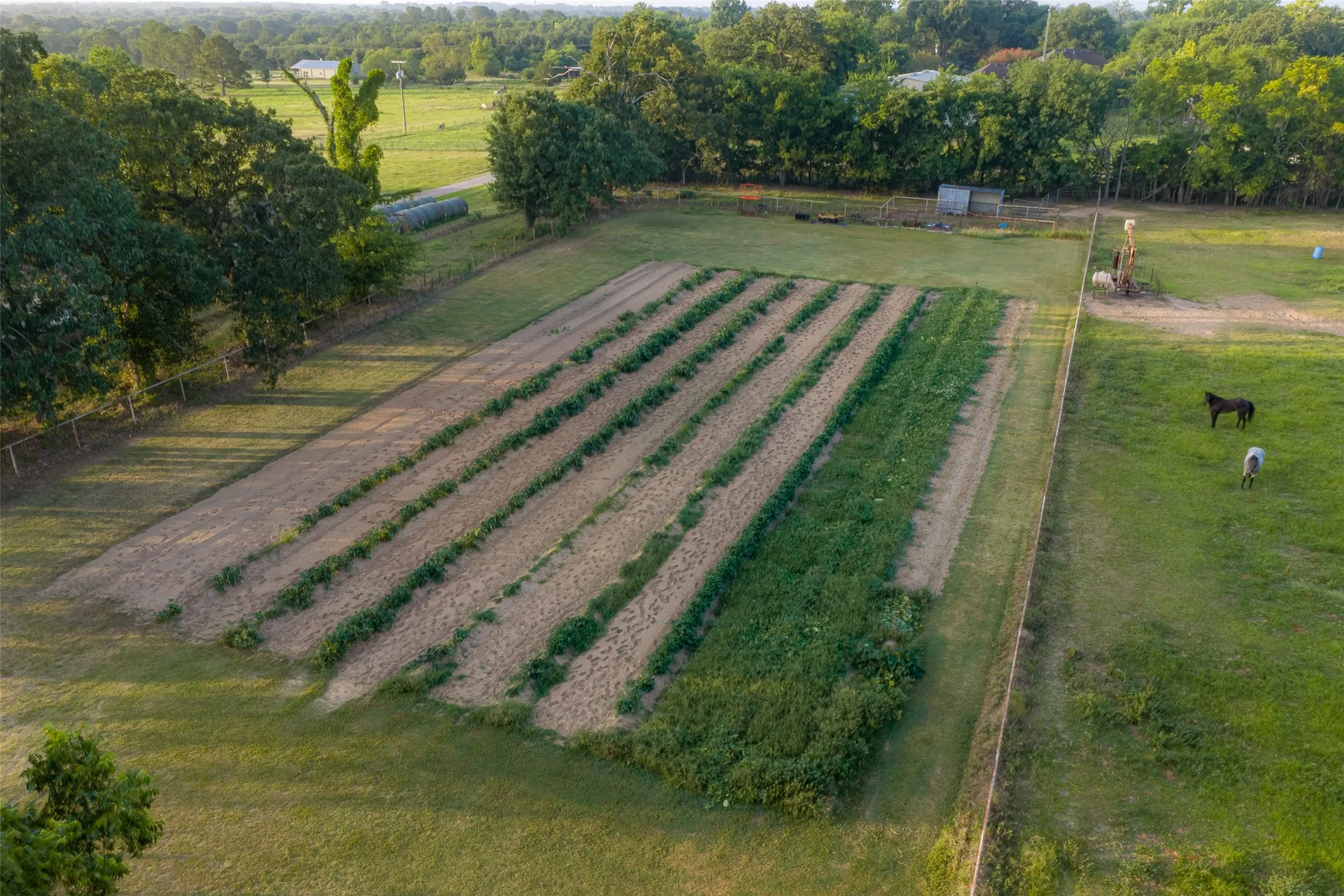 Farm For Sale in Van Zandt County , 10457 State Highway 110, Van, Texas 75790, 3 Bedroom, 3 Bathroom, 1 Garage spaces, 2,360 Sqft, built in 2009, mls#21319661, Real Estate Agent in Van, Homes For Sale in Van Zandt county, Homes For Sale in Van, Realtor in Van Texas, Real Estate Brokerage Independent Realty Texas, Luminita Cordes Realtor