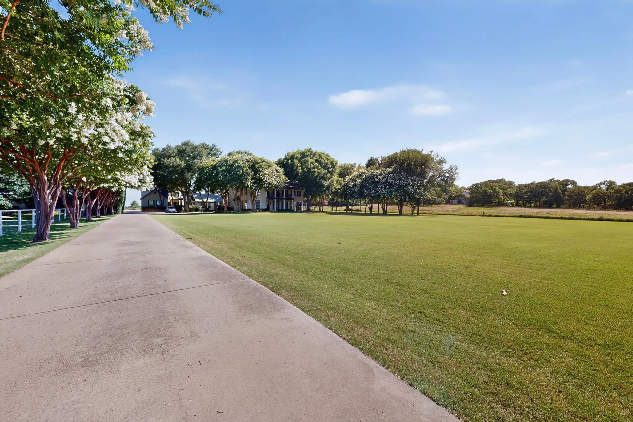 Expansive concrete drive bordered by mature flowering trees and a white split-rail fence
