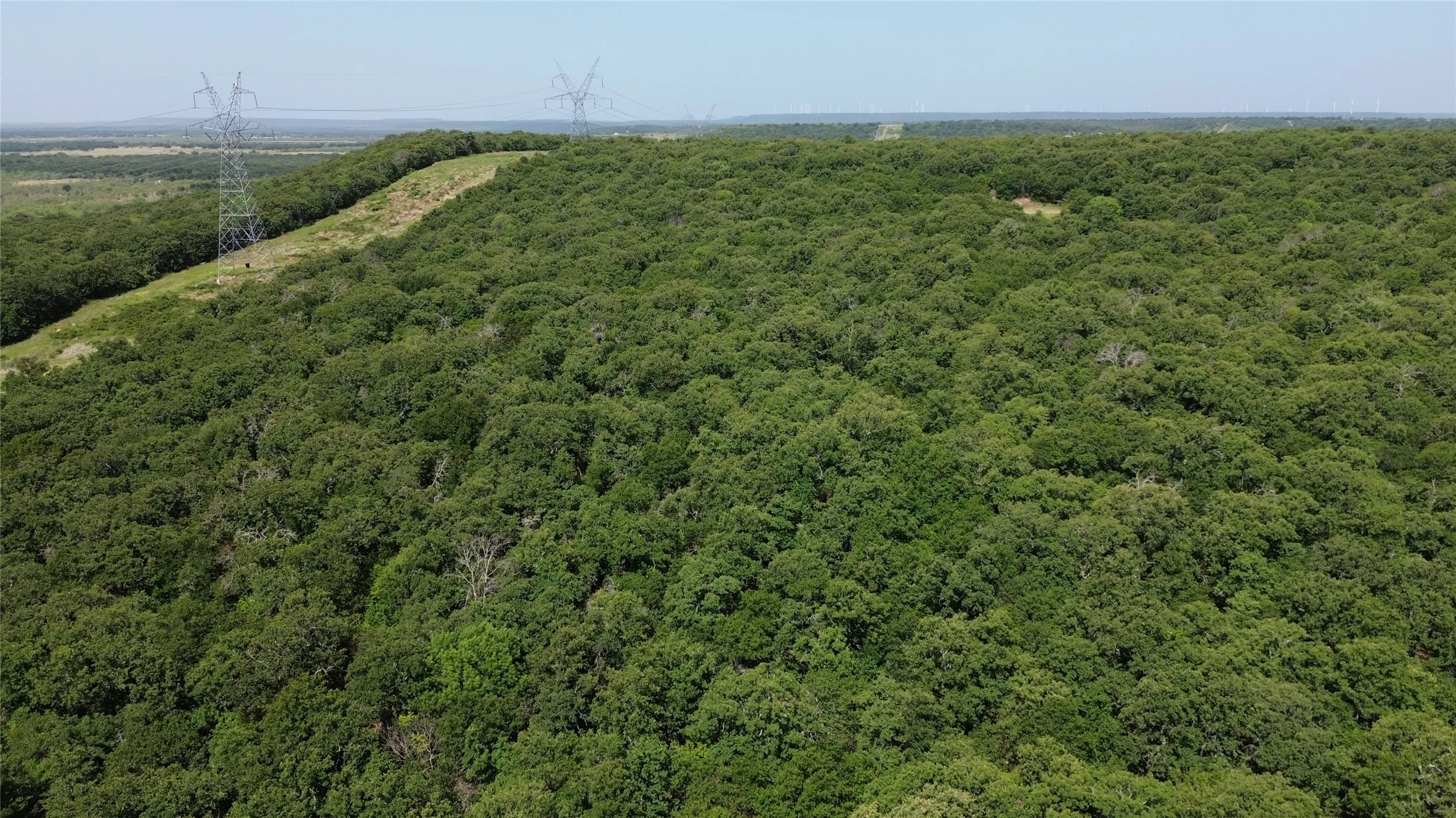 Expansive wooded terrain featuring mature trees and a clear, open sky