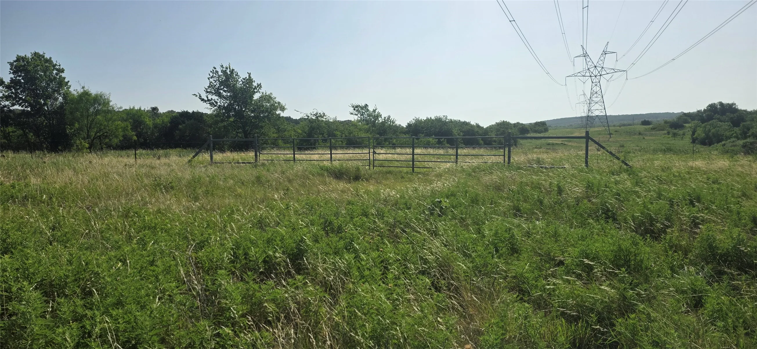 Expansive undeveloped land featuring natural vegetation and distant tree lines