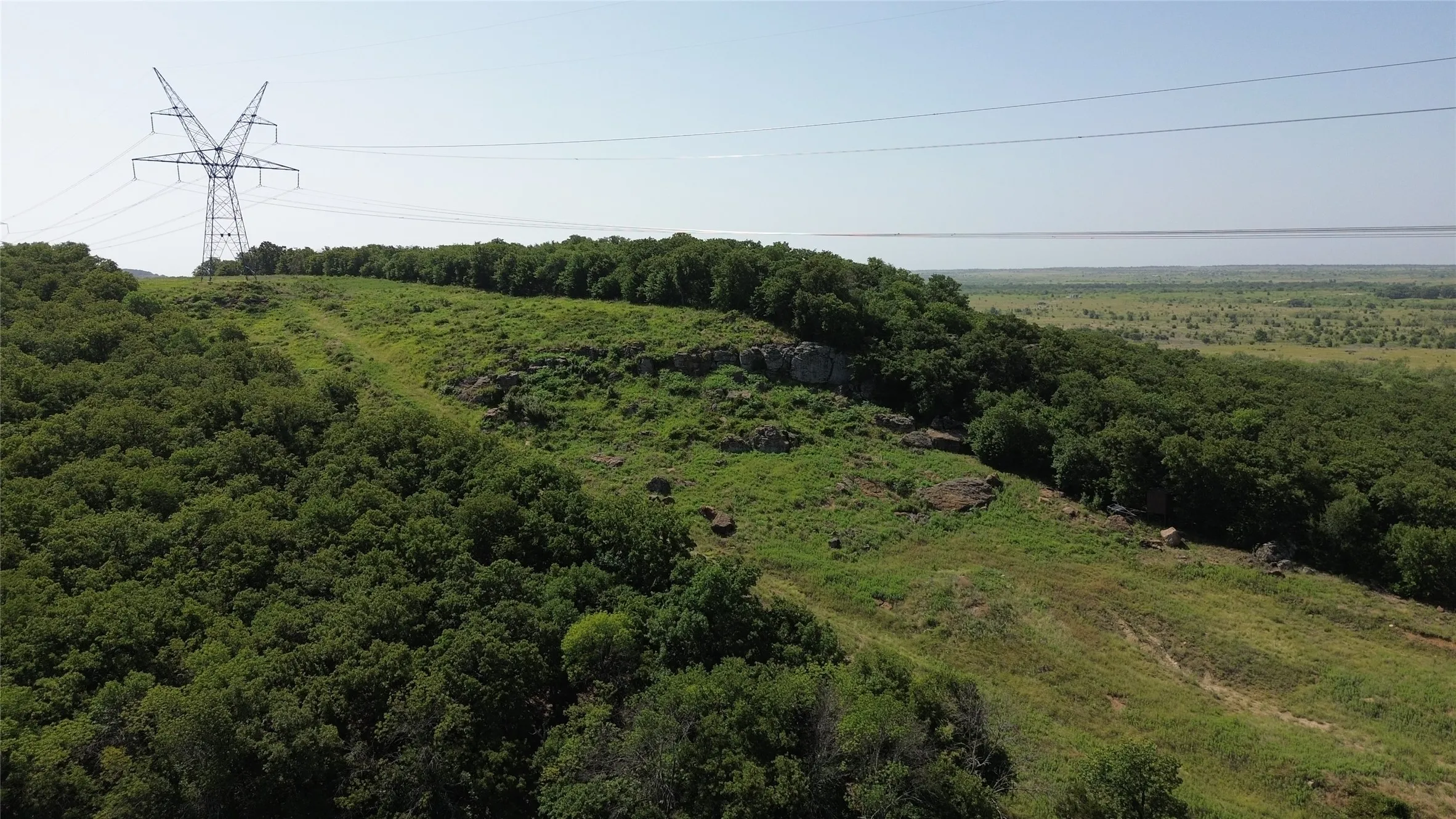 Expansive natural landscape with dense tree coverage and open grassy areas