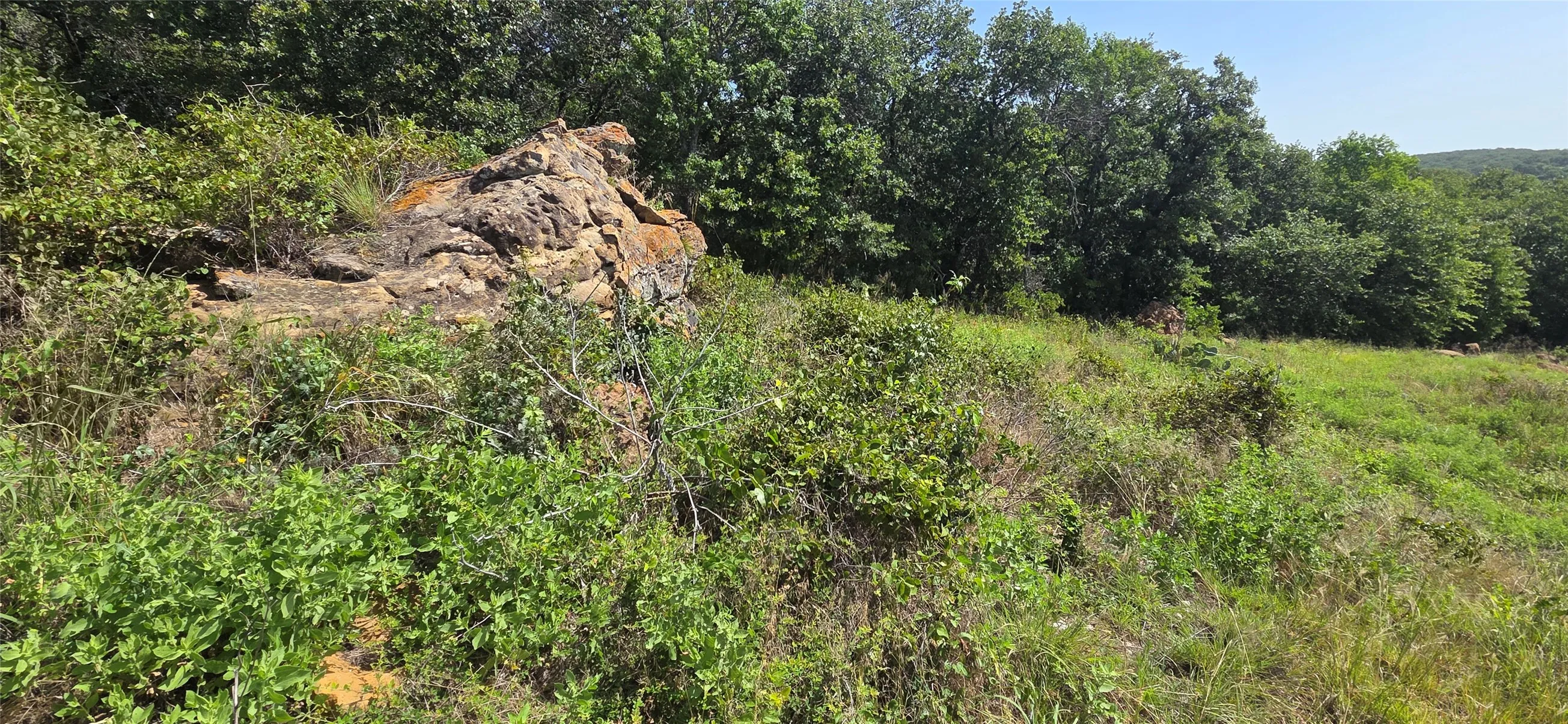 Unimproved Land For Sale in Jack County , TBD Nash RD, Jacksboro, Texas 76458, 0, 0, Garage spaces, 0 Sqft, built in 0, Price $864,200, mls#21320791, Real Estate Agent in Jacksboro, Homes For Sale in Jack county, Homes For Sale in Jacksboro, Realtor in Jacksboro Texas, Real Estate Brokerage Independent Realty Texas, Luminita Cordes Realtor