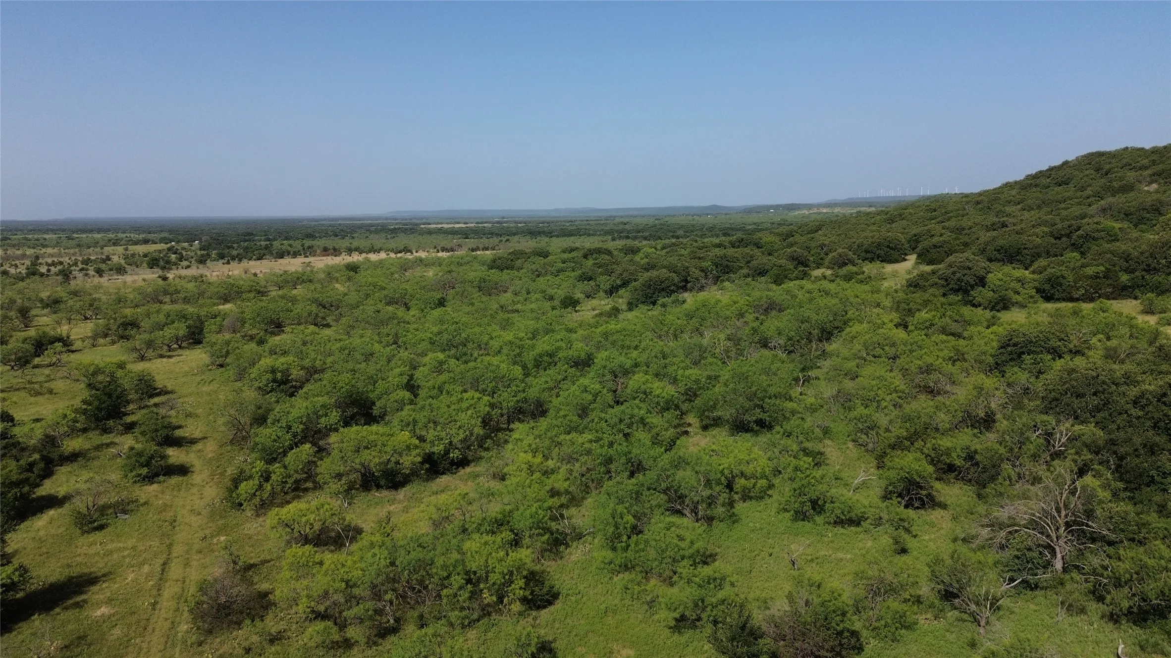 Expansive natural landscape featuring varied topography, including a prominent tree-covered hillside and open grassy areas