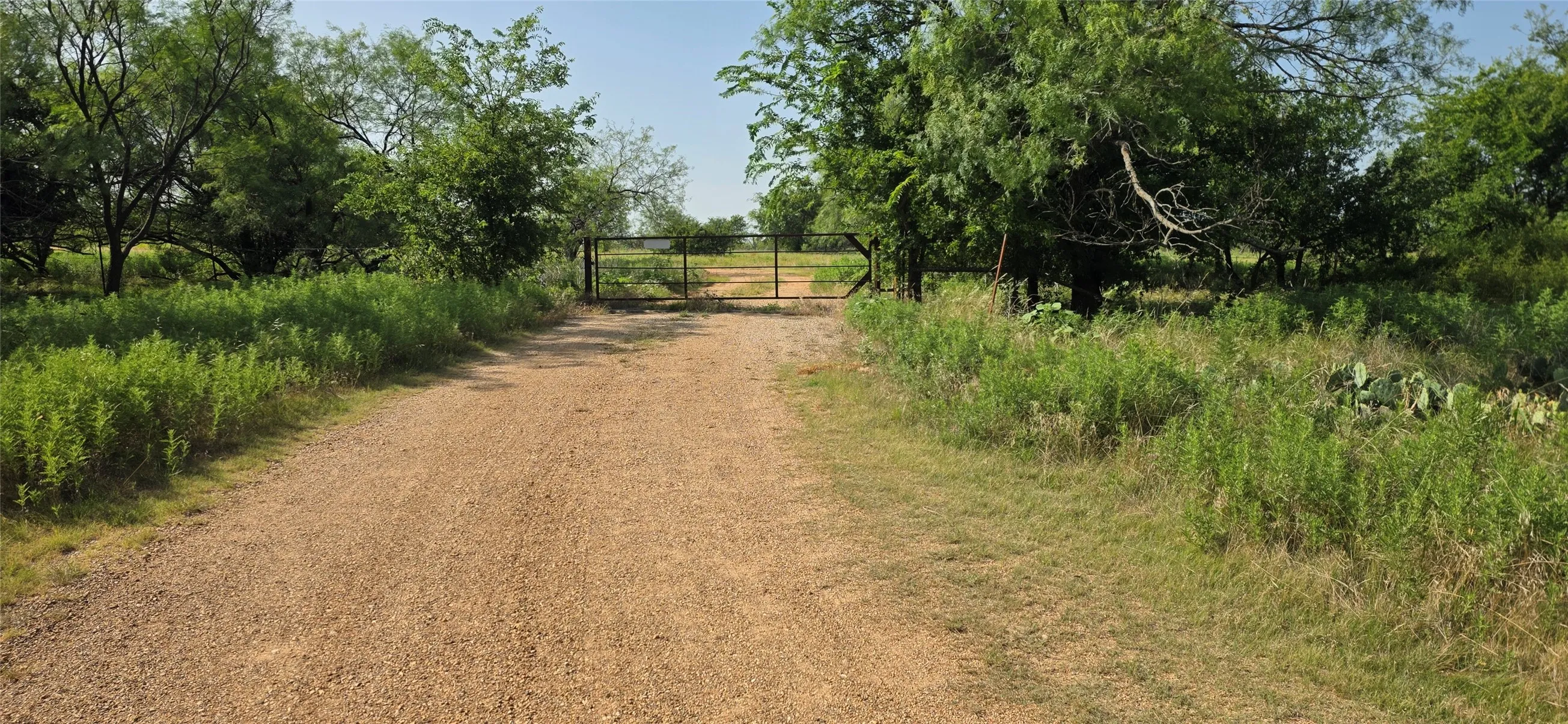 Gravel access road with a metal gate and dense natural foliage