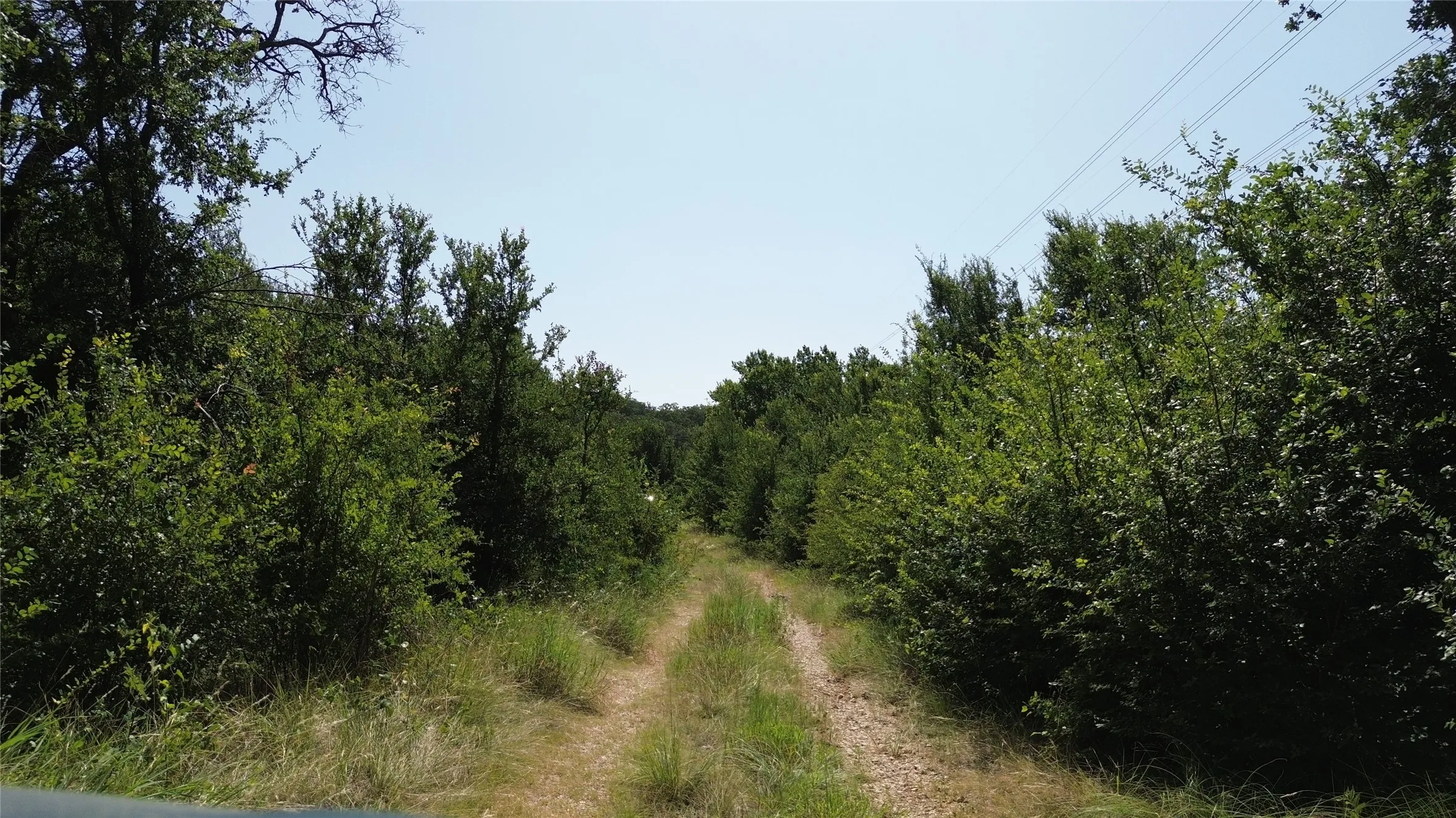 Unimproved Land For Sale in Jack County , TBD Nash RD, Jacksboro, Texas 76458, 0, 0, Garage spaces, 0 Sqft, built in 0, Price $864,200, mls#21320791, Real Estate Agent in Jacksboro, Homes For Sale in Jack county, Homes For Sale in Jacksboro, Realtor in Jacksboro Texas, Real Estate Brokerage Independent Realty Texas, Luminita Cordes Realtor