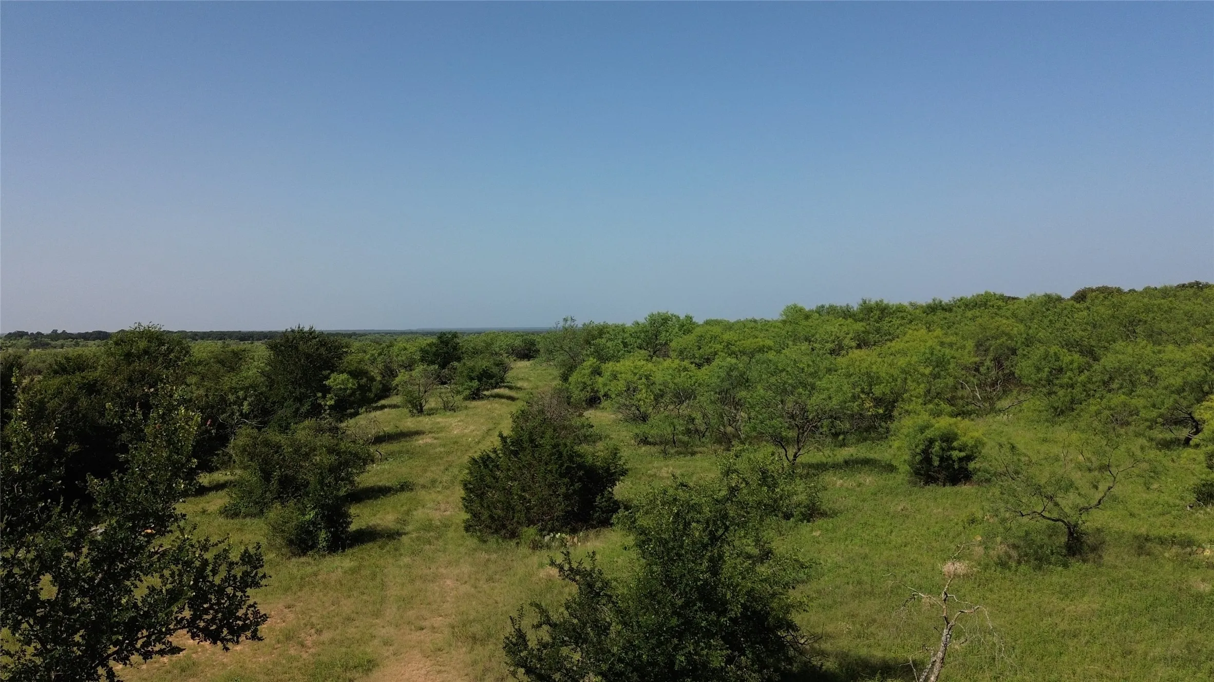 Expansive acreage featuring mature trees and green ground cover under a clear sky