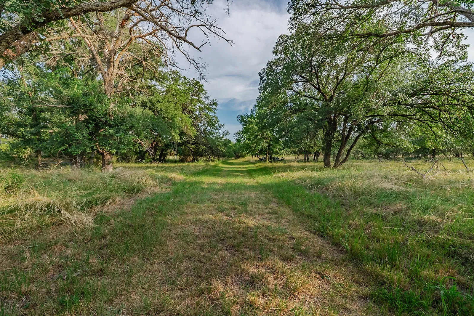 Single Family Residence For Sale in Mc Culloch County , 28 CR 458, Brady, Texas 76825, 2 Bedrooms, 2 Bathrooms, Garage spaces, 4,086 Sqft, built in 1999, Price $650,000, mls#21317520, Real Estate Agent in Brady, Homes For Sale in Mc Culloch county, Homes For Sale in Brady, Realtor in Brady Texas, Real Estate Brokerage Independent Realty Texas, Luminita Cordes Realtor