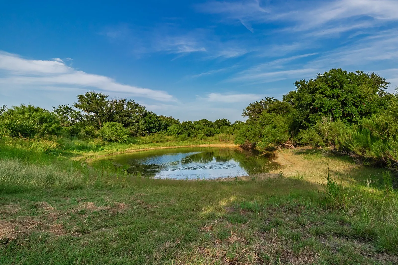 Single Family Residence For Sale in Mc Culloch County , 28 CR 458, Brady, Texas 76825, 2 Bedrooms, 2 Bathrooms, Garage spaces, 4,086 Sqft, built in 1999, Price $650,000, mls#21317520, Real Estate Agent in Brady, Homes For Sale in Mc Culloch county, Homes For Sale in Brady, Realtor in Brady Texas, Real Estate Brokerage Independent Realty Texas, Luminita Cordes Realtor