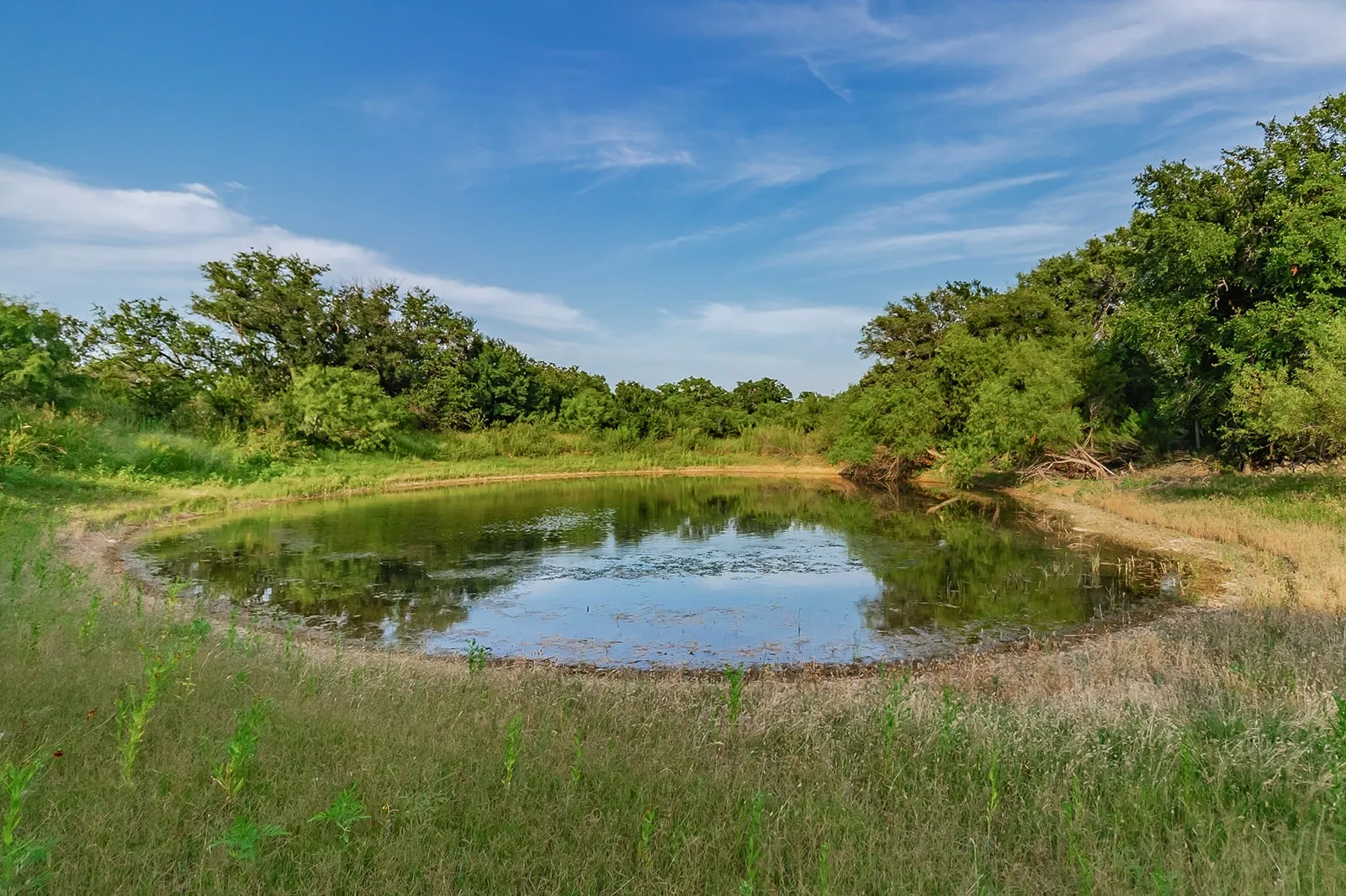Single Family Residence For Sale in Mc Culloch County , 28 CR 458, Brady, Texas 76825, 2 Bedrooms, 2 Bathrooms, Garage spaces, 4,086 Sqft, built in 1999, Price $650,000, mls#21317520, Real Estate Agent in Brady, Homes For Sale in Mc Culloch county, Homes For Sale in Brady, Realtor in Brady Texas, Real Estate Brokerage Independent Realty Texas, Luminita Cordes Realtor