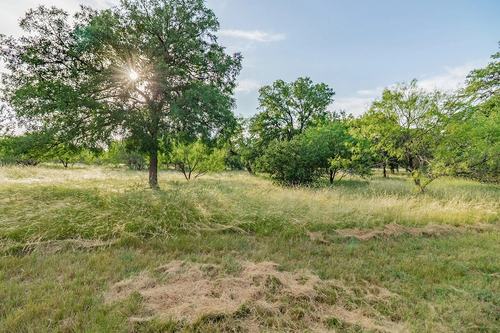 Single Family Residence For Sale in Mc Culloch County , 28 CR 458, Brady, Texas 76825, 2 Bedrooms, 2 Bathrooms, Garage spaces, 4,086 Sqft, built in 1999, Price $650,000, mls#21317520, Real Estate Agent in Brady, Homes For Sale in Mc Culloch county, Homes For Sale in Brady, Realtor in Brady Texas, Real Estate Brokerage Independent Realty Texas, Luminita Cordes Realtor
