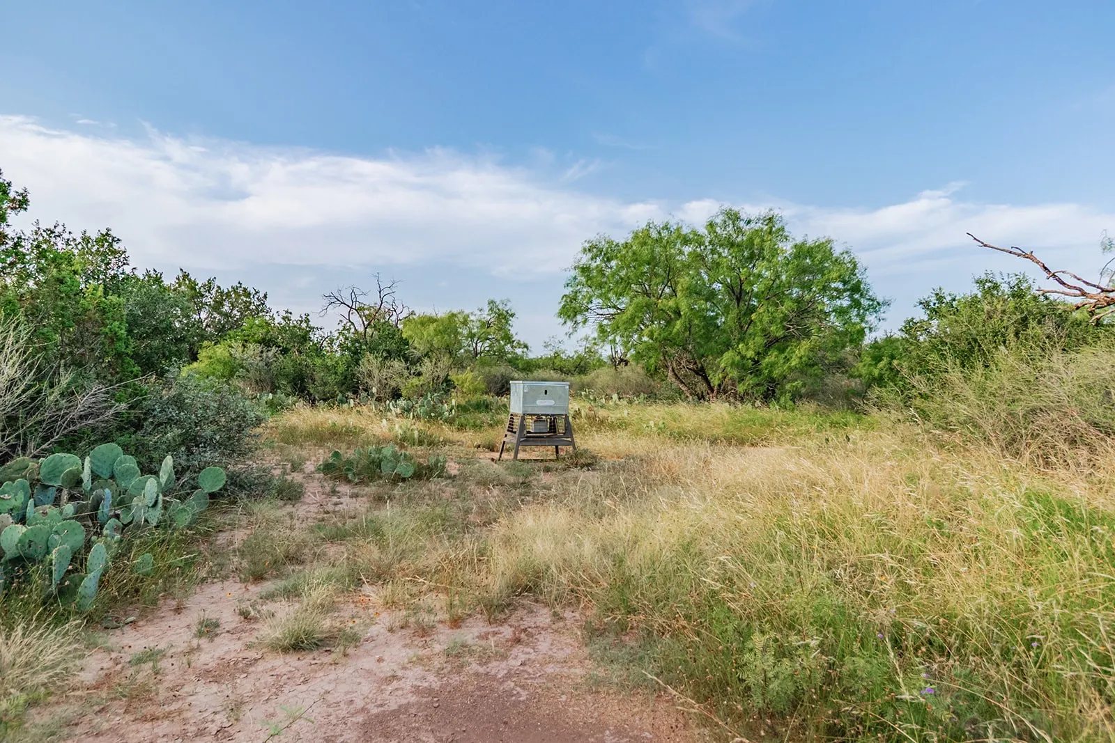 Single Family Residence For Sale in Mc Culloch County , 28 CR 458, Brady, Texas 76825, 2 Bedrooms, 2 Bathrooms, Garage spaces, 4,086 Sqft, built in 1999, Price $650,000, mls#21317520, Real Estate Agent in Brady, Homes For Sale in Mc Culloch county, Homes For Sale in Brady, Realtor in Brady Texas, Real Estate Brokerage Independent Realty Texas, Luminita Cordes Realtor