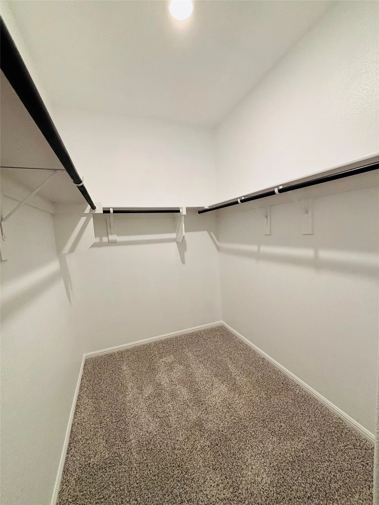 Walk in closet featuring carpet floors