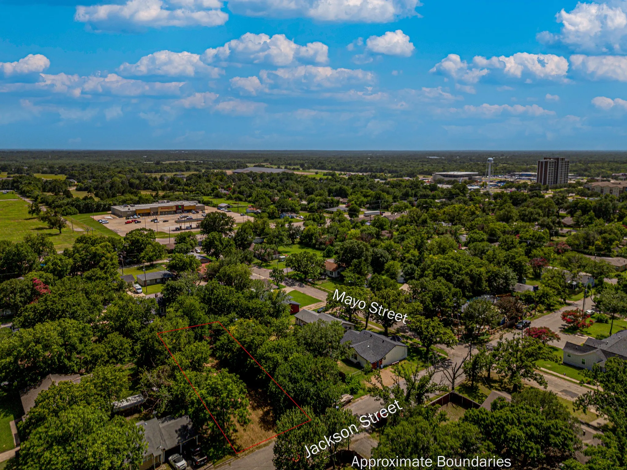 Unimproved Land For Sale in Hunt County , 1505 Jackson Street, Commerce, Texas 75428, 0, 0, Garage spaces, 0 Sqft, built in 0, Price $48,000, mls#21320534, Real Estate Agent in Commerce, Homes For Sale in Hunt county, Homes For Sale in Commerce, Realtor in Commerce Texas, Real Estate Brokerage Independent Realty Texas, Luminita Cordes Realtor