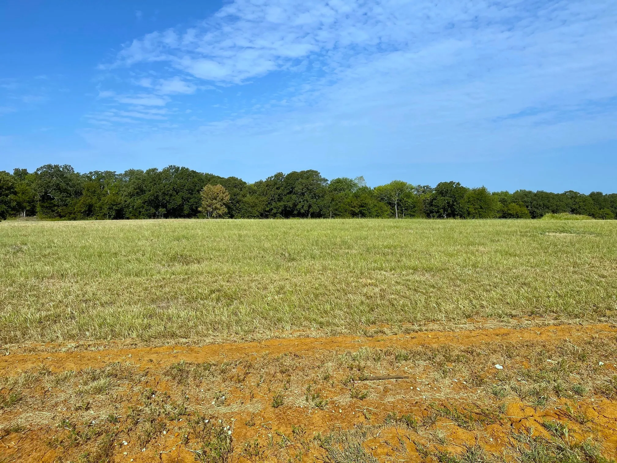 Unimproved Land For Sale in Grayson County , Lot 17C Windrose Loop, Gordonville, Texas 76245, 0, 0, Garage spaces, 0 Sqft, built in 0, Price $35,000, mls#21320838, Real Estate Agent in Gordonville, Homes For Sale in Grayson county, Homes For Sale in Gordonville, Realtor in Gordonville Texas, Real Estate Brokerage Independent Realty Texas, Luminita Cordes Realtor