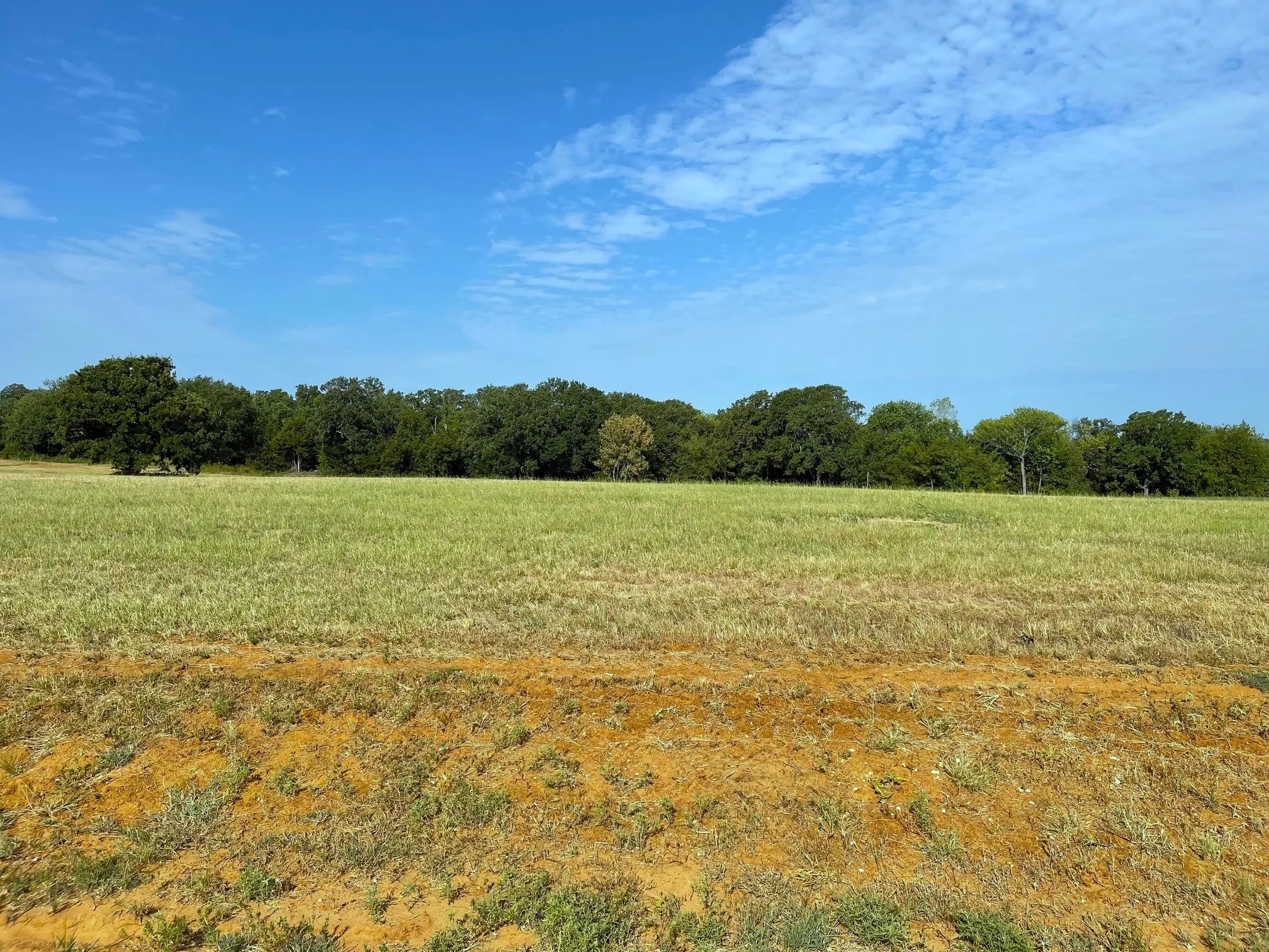 Unimproved Land For Sale in Grayson County , Lot 17C Windrose Loop, Gordonville, Texas 76245, 0, 0, Garage spaces, 0 Sqft, built in 0, Price $35,000, mls#21320838, Real Estate Agent in Gordonville, Homes For Sale in Grayson county, Homes For Sale in Gordonville, Realtor in Gordonville Texas, Real Estate Brokerage Independent Realty Texas, Luminita Cordes Realtor